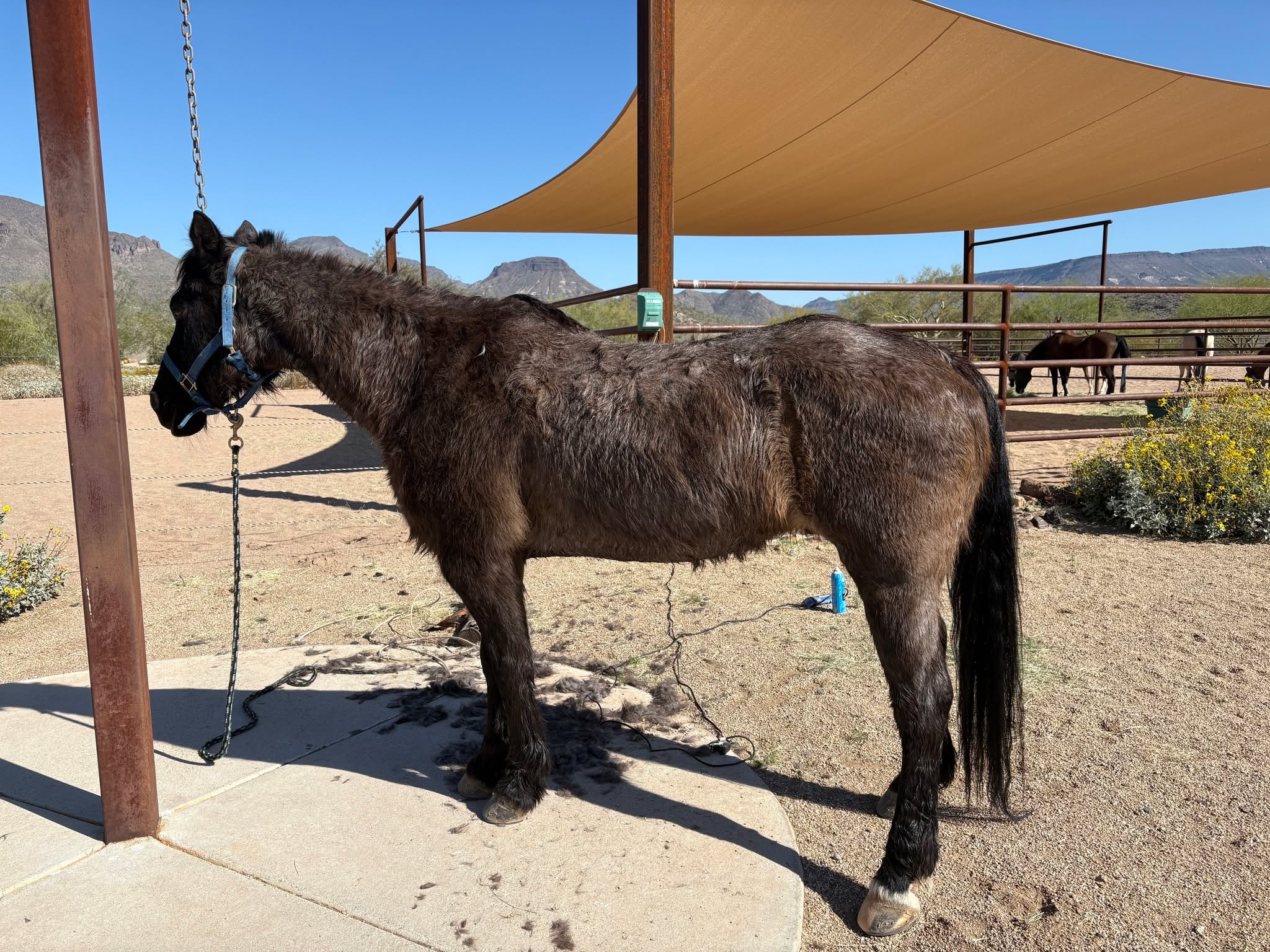 Before...and after. Sometimes a hair cut can make you look 10 years younger.