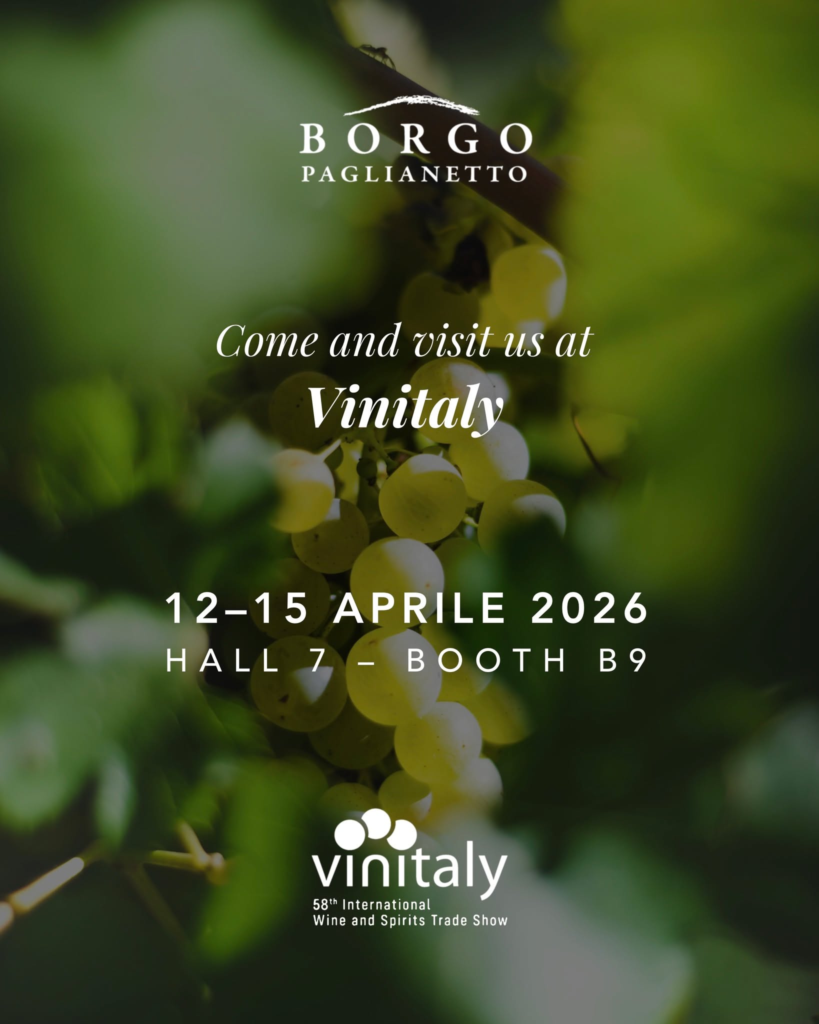 🍇✨ Ci vediamo al Vinitaly 2026!
Padiglione 7 | Stand B9 vi aspettiamo per farvi vivere il meglio dei nostri vini.
“Ogni calice racconta una storia… venite a scoprirla con noi!” 🍷💫
🍇✨ See you at Vinitaly 2026!
Hall 7 | Stand B9 – we can’t wait to welcome you and share the finest of our wines.
“Every glass tells a story… come and discover it with us!” 🍷💫
#borgopaglianetto #verdicchiodimatelica #vinoitaliano #madeinitaly #organic #winelovers #vinitaly #vinitaly2026