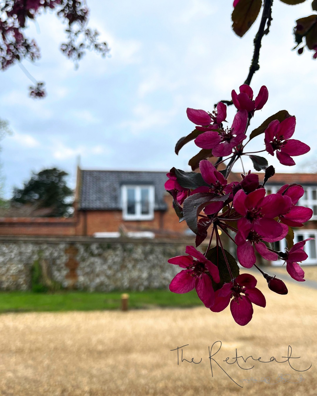 The lighter nights that we have all been craving are almost upon us at long last!
Why not book yourself an evening pamper session and follow it up with a trip to one of the lovely pubs in Brancaster or a stroll on the beach? The beach is only a 2 minute drive away and when the clocks spring forward in a couple of weeks its the perfect place to drink in a sunset against the backdrop of those famous Norfolk big skies.
Our opening times are as follows:
Monday: Closed
Tuesday: 10am to 8pm
Wednesday: 9am to 8pm
Thursday: 9am to 8pm
Friday: 9am to 5pm
Saturday: 9am to 4pm
Sunday: Closed
