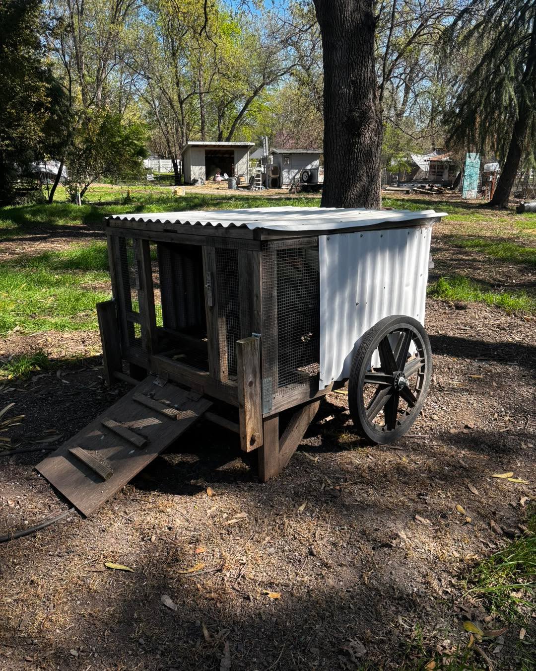 Palo Cedro CA Chickshaw chicken tractor with premier one rollaway nest boxes $250