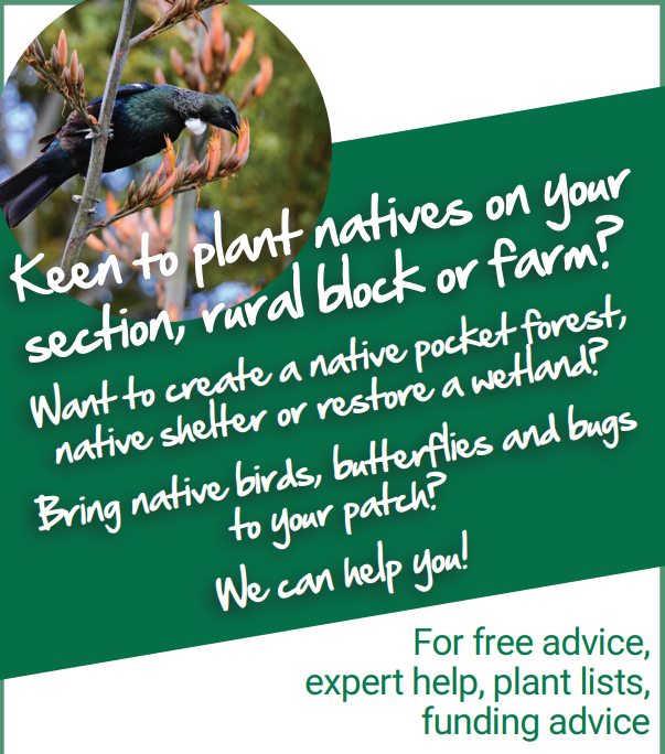 Email office@wbt.org.nz to discuss your native restoration project 🌿🐦