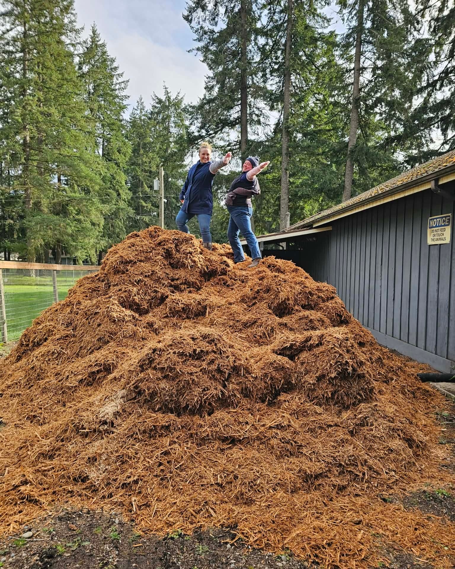 For when we have to palpate tall mares..... #breedingseason #bringonthefoals #reprovets