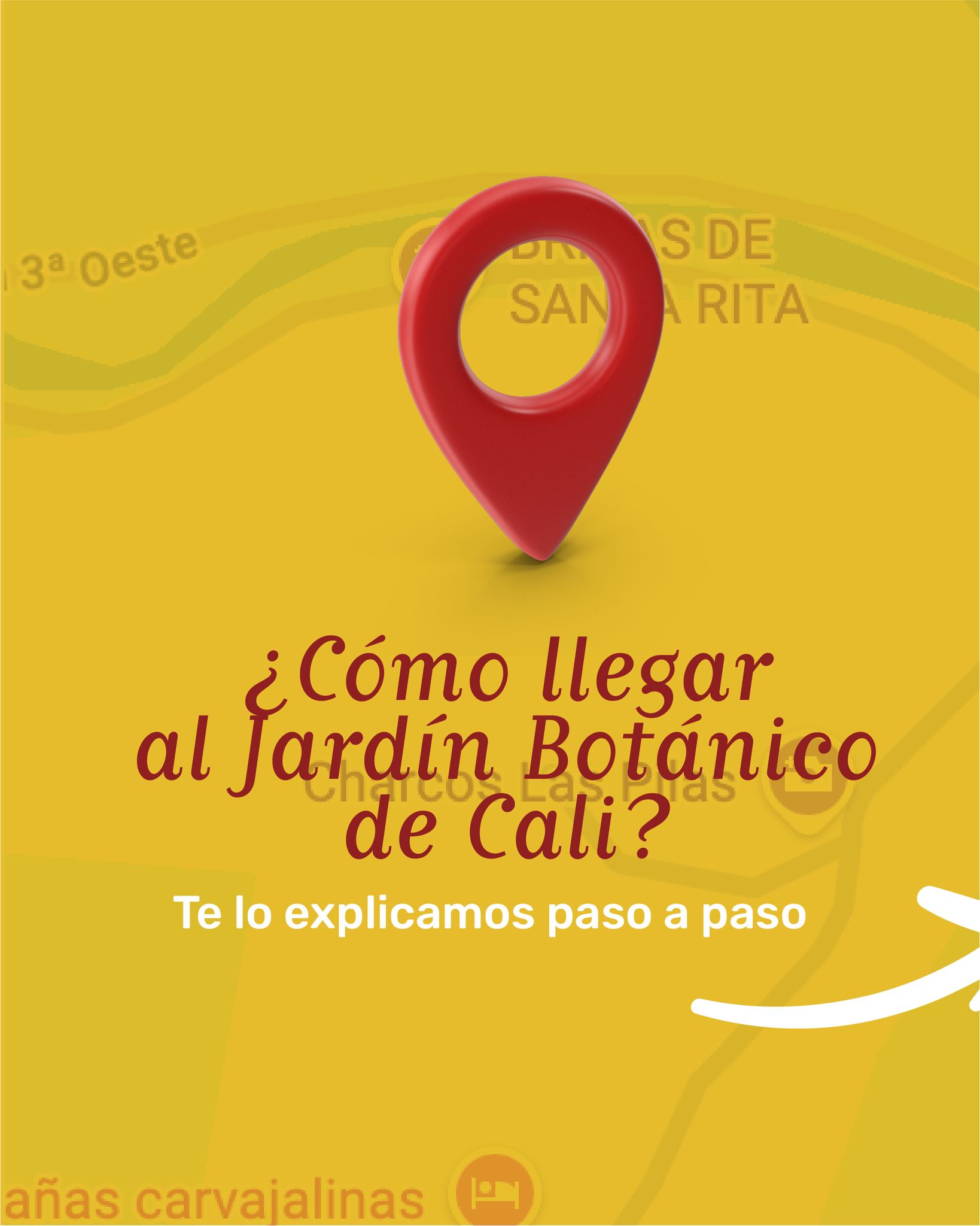 ¿Pensando en darte una vueltica por el Jardín? 🌿
Te dejamos cómo llegar al Jardín Botánico de Cali para que planees tu visita sin perderte.
Guarda este carrete 📍, compártelo con quien quieras traer y ven a desconectarte un rato entre naturaleza.
www.jardinbotanicodecali.com.co