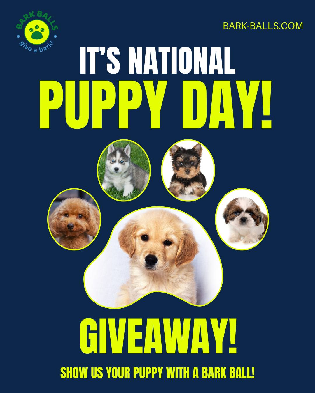 It’s National Puppy Day and we want to see the cutest pups on the internet. 🐶
Enter our Puppy Day Giveaway:
1️⃣ Follow us
2️⃣ Post a photo of your puppy with their Bark Ball
3️⃣ Tag us and use #BarkBallsPuppy
We’ll pick 3 winners to receive a Bark Ball bundle for their growing pups.
Because every puppy deserves their first favorite toy. 🐾
Get Your Own Bark Ball →
https://barkballs.com
#NationalPuppyDay #PuppyLove #BarkBalls #DogGiveaway #PuppyLife #DogCommunity #DogInstagram #PuppiesOfInstagram #EcoFriendlyDogs