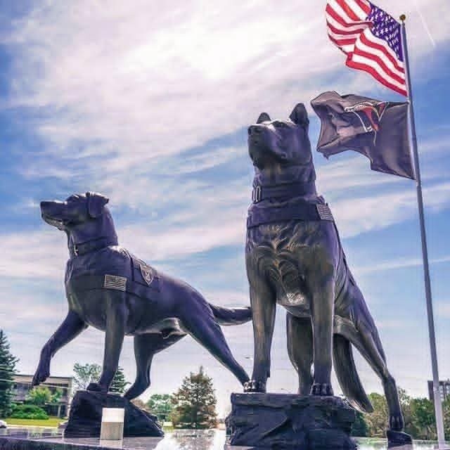 Today is National K9 Veterans Day, and while we’re busy getting everything ready for Paws for a Cause tomorrow, we wanted to take a moment to pause and recognize some truly incredible heroes.
March 13th is a day dedicated to honoring the brave military and working dogs who have served our country and communities with unwavering loyalty and courage. This day marks the anniversary of March 13, 1942, when the U.S. Army officially began training its K-9 Corps as part of the War Dog Program during World War II.
Since then, thousands of K9s have served alongside our soldiers, police officers, and handlers in combat zones, search and rescue missions, detection work, and so much more. These amazing dogs have risked their lives to protect others, often asking for nothing more in return than a pat on the head and time with their handler.
Today we honor all military working dogs, police K9s, and service dogs who have served and sacrificed. Their loyalty, bravery, and dedication remind us that heroes truly do come on four legs.
This day holds an even deeper meaning for us as we prepare for Paws for a Cause tomorrow benefiting Harlows Heroes, an organization that supports active and retired working K9s across New England. These dogs give everything to keep us safe, and they deserve our support long after their service ends.
To every K9 who has served, past and present, thank you for your courage, your loyalty, and your sacrifice. You will never be forgotten.
Give your pups an extra hug today in honor of these heroes. 🐾❤️
#NationalK9VeteransDay #K9Heroes #WorkingDogs #PoliceK9 #MilitaryWorkingDogs #HarlowsHeroes #PawsForACause #BarkNKrumble #HonorOurK9s