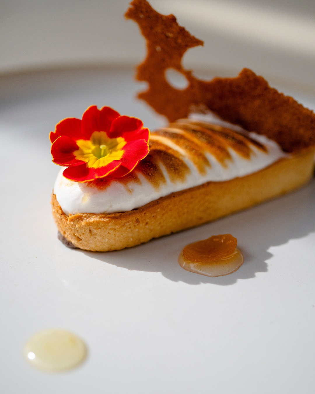 La tarte au citron meringuée revisitée équilibre douceur et acidité, croustillant et légèreté.
Ouvert du mercredi au dimanche de 12h00 à 14h, et les mercredis, jeudis, vendredis et samedis soirs de 19h à 22h
📍 5 rue Nostradamus, 13680 Lançon-Provence
📞 07 66 57 67 58
🍽️ Réservez votre table via le lien dans la bio