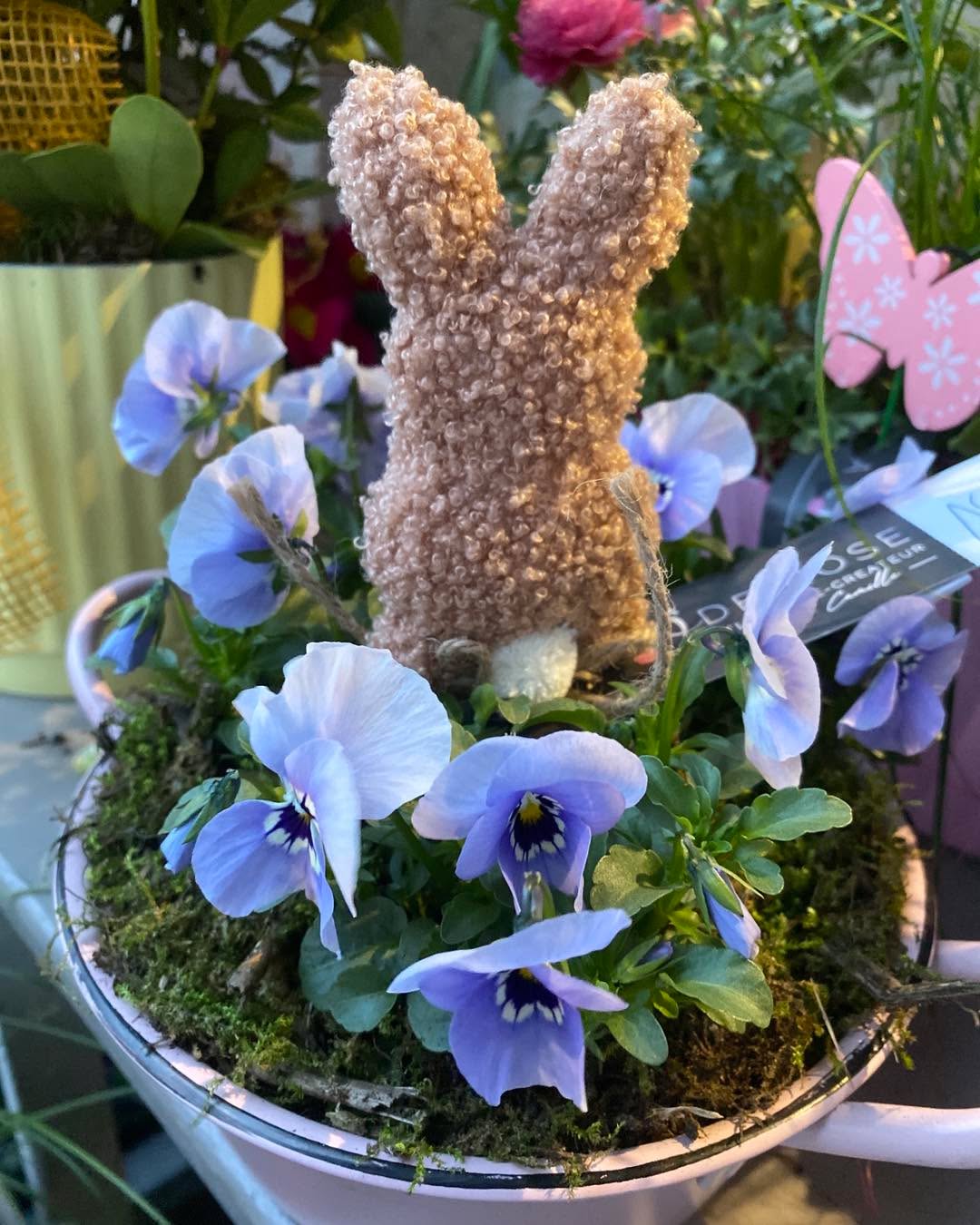 🌧 Marre de la pluie ? Moi aussi !
Alors ce week-end on tente quelque chose :
Soit faire la danse du soleil dans le jardin (sous la pluie c’est moyen)
ou venir chercher de belles fleurs bien colorées chez @aloderose
(Bien plus efficace et ça marche à tous les coups ! )
Parce que si le soleil tarde à venir, au moins il brillera dans votre maison ! 🌷🌼
Samedi : 9h – 12h / 14h – 17h
Dimanche : 10h – 12h
Venez faire le plein de couleurs… et peut-être qu’ensemble on réussira à faire revenir le soleil ! ☀️