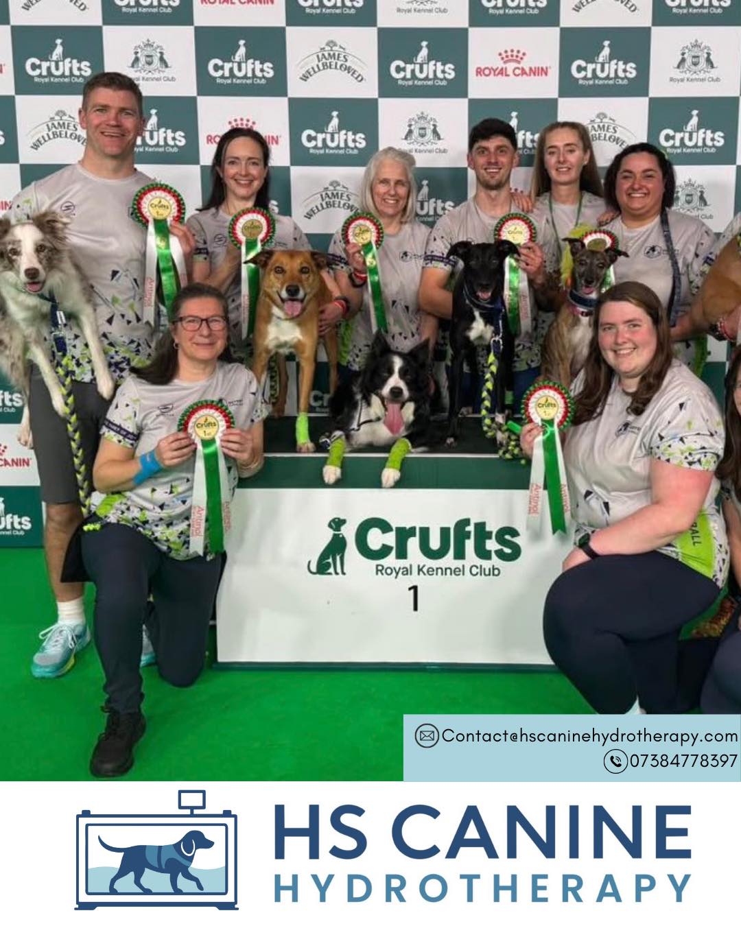 A huge congratulations to some of our wonderful clients from last weekend at Crufts! 🐾💙
We were super impressed to see the Odyssey Flyball Team on our screens, led by some of our customers. It was great to see Sabre and Terra down on the green!
Huge congratulations to the team, who took the Flyball title on Thursday, becoming the winners of the day. Incredible racing and such a brilliant achievement! 😊
Well done to Oreo for a lovely clear round with her owner Gaby in the Young Kennel Club Agility Pairs competition at Crufts on Sunday!
Oreo is a 5-year-old Working Sheepdog. She started hydrotherapy with us last December (literally when we opened at Grateley!) as part of her rehabilitation plan following a partial cruciate tear last autumn.
Crufts was her first time back competing, and she did so well 💙🐾
We also loved spotting our customer’s other dog Lottie, who was featured at Crufts talking about how amazing the Irish Water Spaniel is fantastic to see!
It’s always amazing seeing the dogs we work with achieving so much, and we’re incredibly proud of you all! 🐕🐾
