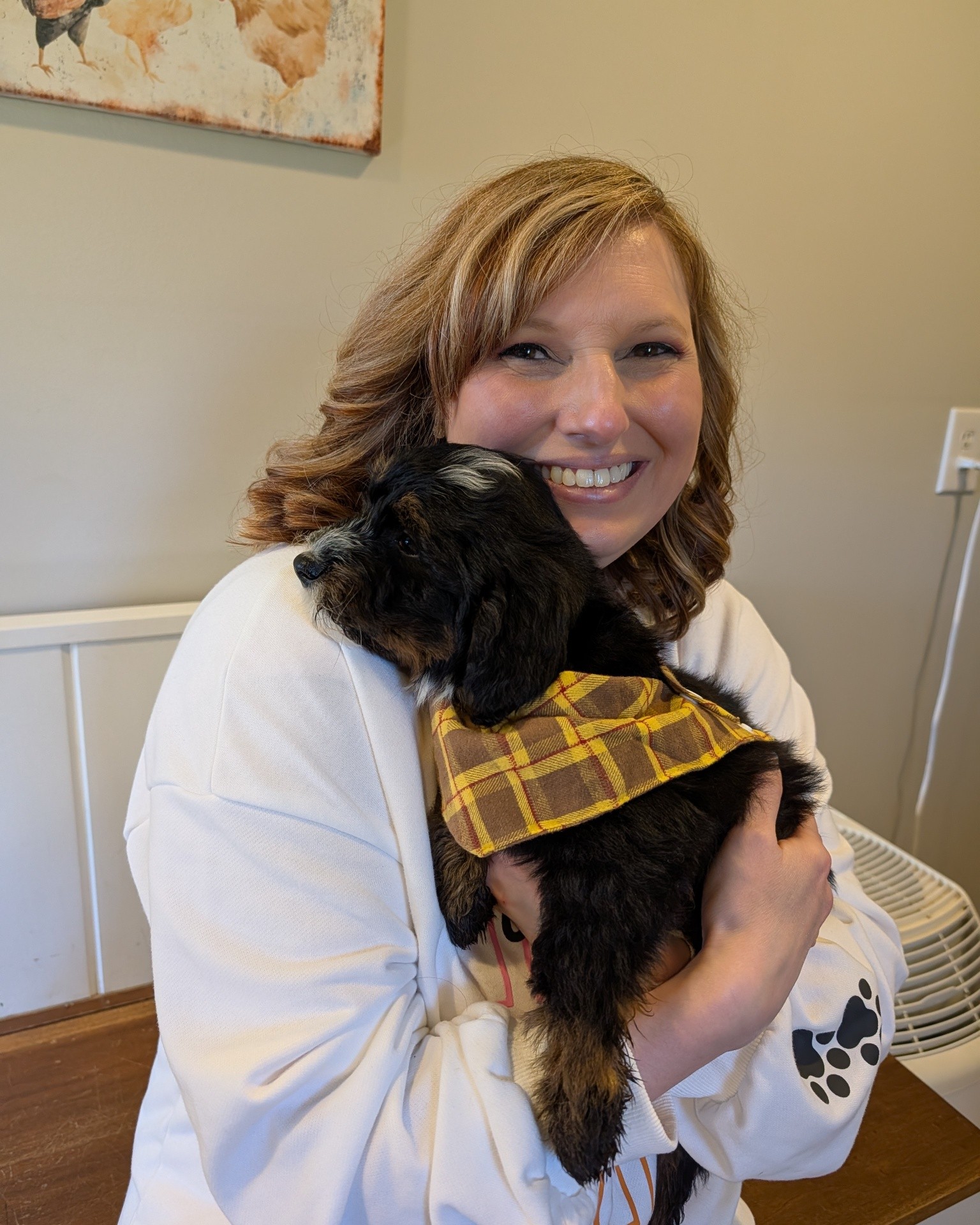 We've had some incredible puppies go to amazing families this week! So excited for their new journey! 😍
#bernedoodles