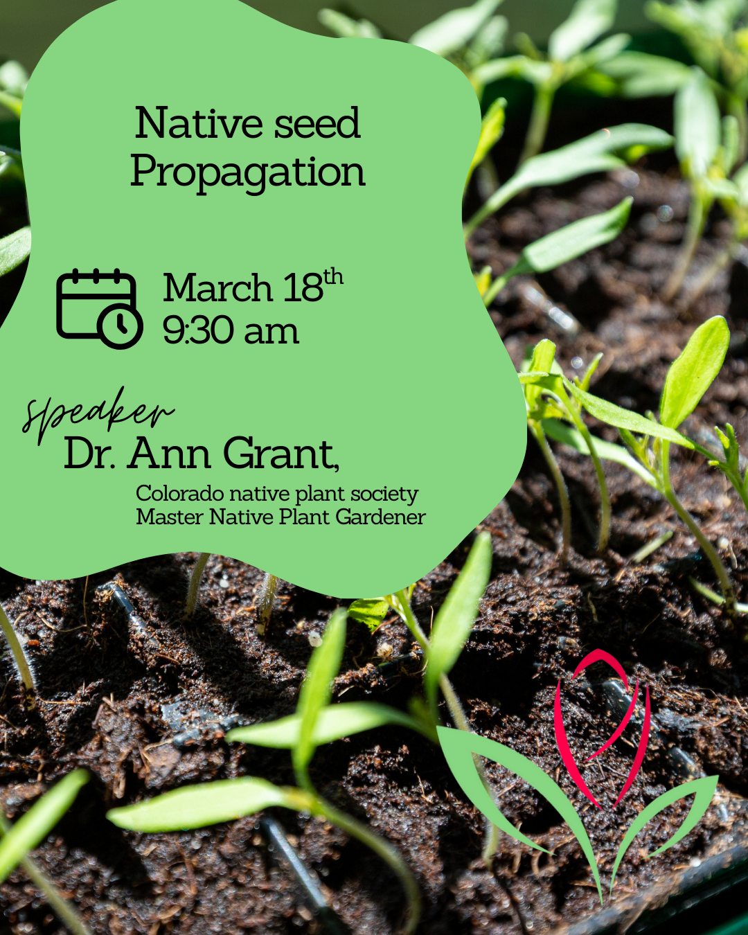 We are so excited for our monthly meeting this Wednesday, March 18. We have a very special guest joining us: Dr. Ann Grant, a Master Native Plant Gardener!
Dr. Grant will be giving an in-depth lecture on the beauty and benefits of native plants in our Colorado landscapes. While we won't be doing a hands-on activity this month, you'll want to bring a notepad—her wealth of knowledge is something you won't want to miss!
📍 Where: FMS Bank Community Room (2425 35th Ave)
🕘 When: Wednesday, March 18 | Meeting 9:30 AM
#GreeleyMorningGardenClub #NativePlants #DrAnnGrant #GreeleyCO #ColoradoGardening #MasterGardener