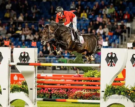 **BREEDERS**
**ICSI SEMEN SALE*** for 24 hours these prices will remain
All sold without restriction. Pay one fee no matter how many embryos you obtain.
Chacco Blue (1 straw left) - $2,000
Heartbreaker - $750 per straw
Cumano - $750 per straw
Baloubet du Rouet - $750 per straw
Balou du reventon - $750 per straw
Dobels cento - $750 per straw
Darco - $750 per straw.