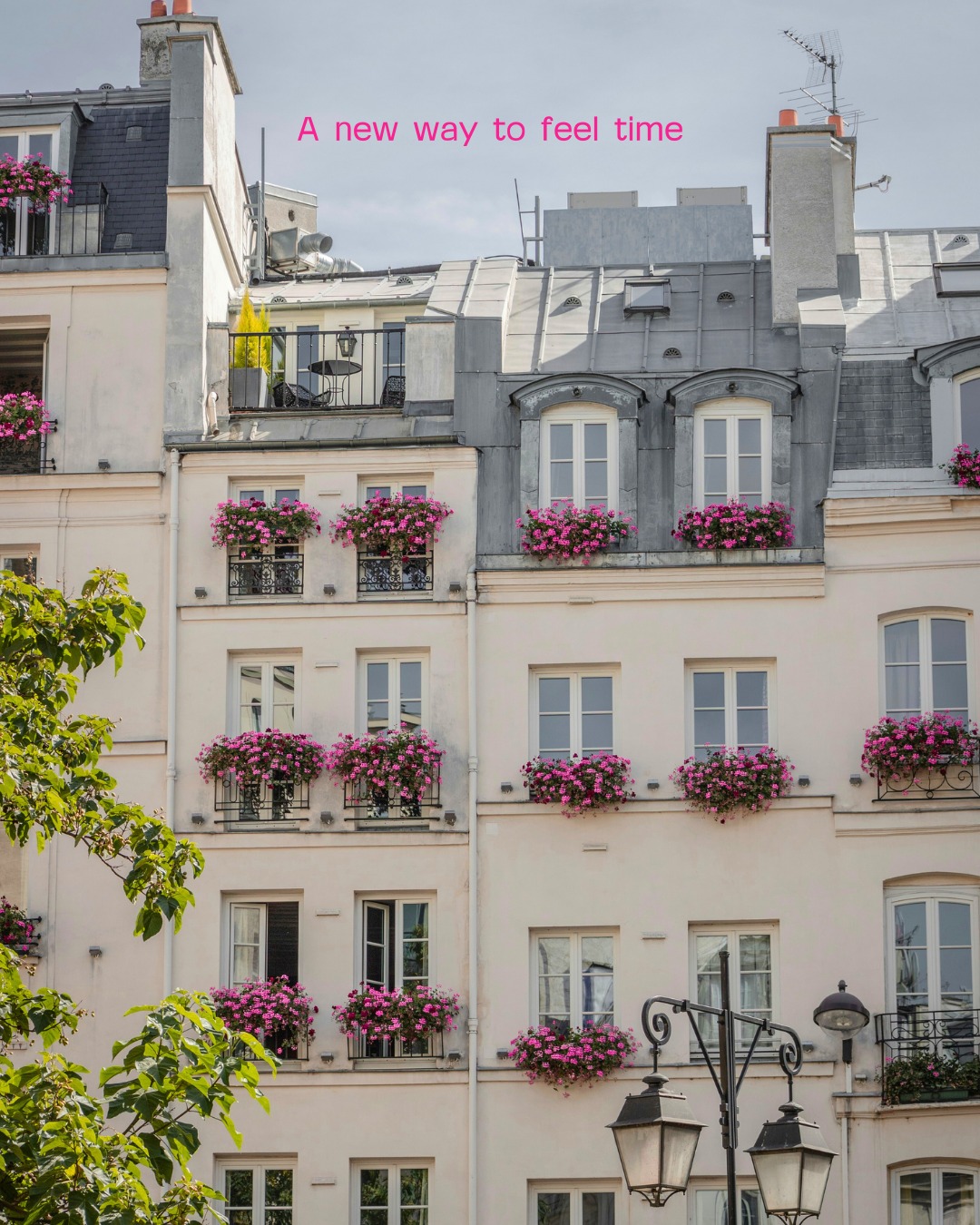 Morning light arrives earlier.
Days grow longer, and your step feels lighter.
On your wrist, the essential lines of an Armand Nicolet follow this change with quiet confidence and character.
Spring is also this: a new way to feel time.