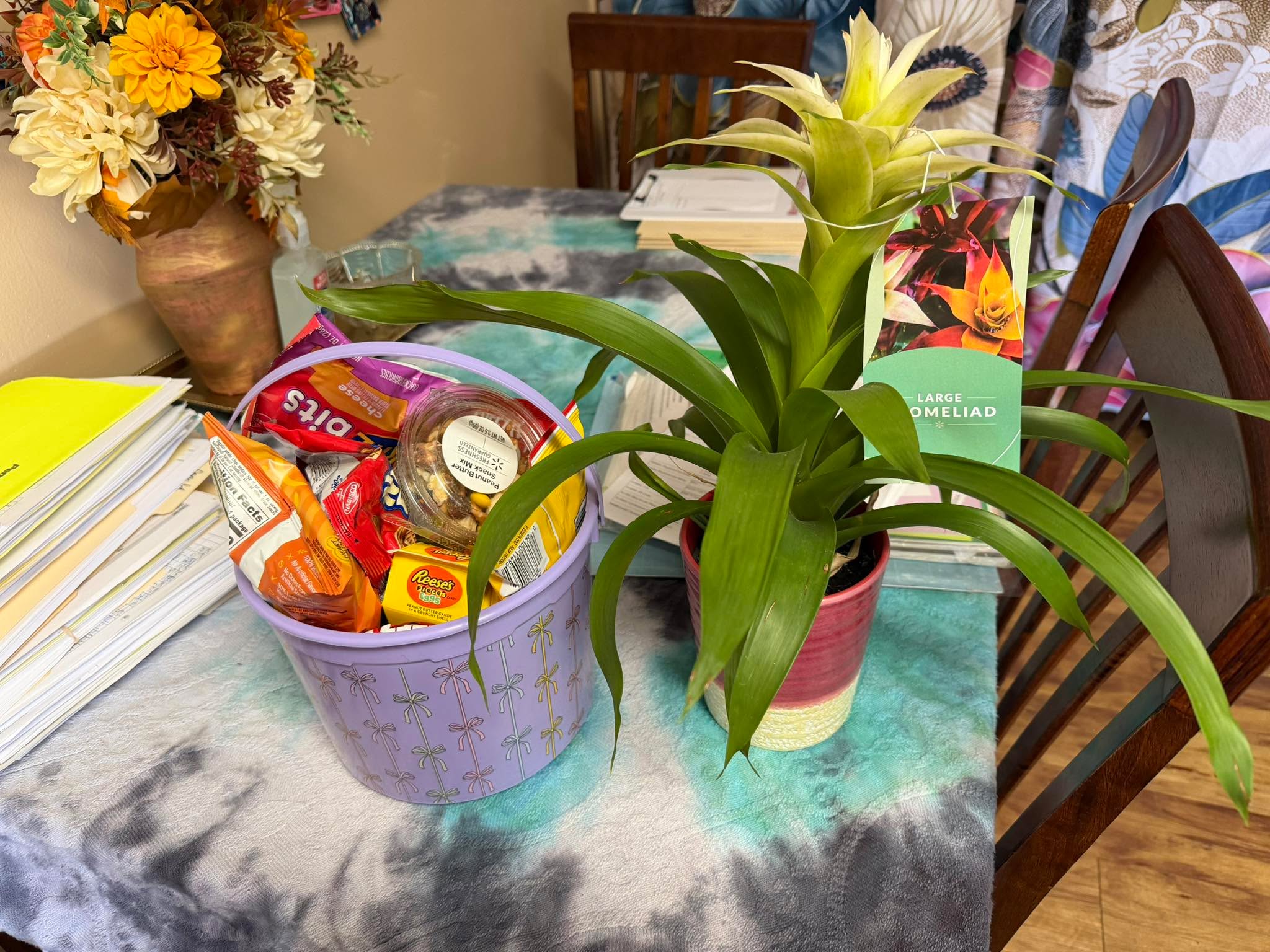 I'm pretty sure we've met before, but just in case, thanks for the awesome goodies, minus the plant, because, you know, bad juju! Thanks for the warm fuzzies and kind vibes, super cool of you guys! One empowered social worker here, feeling stoked to spread the love and kindness! #socialwork #NationalSocialWorkMonth #UPLIFT #DEFEND #TRANSFORM