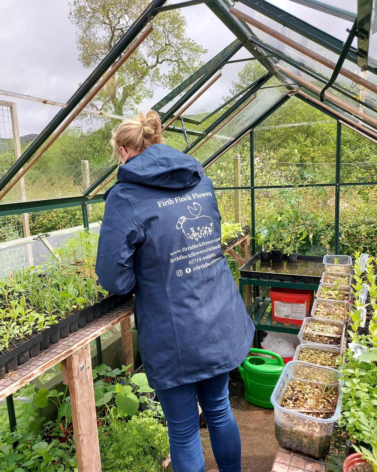 It’s National Flower Day, and our fields are starting to wake for spring🌿
If you have a favourite flower at home or from a walk, share a photo—we’d love to see what’s bringing a touch of colour to your day.
.
.
.
.
#NationalFlowerDay #FirthFlockFlowers #SustainableFlowers #NorthWalesFlowers #PollinatorFriendly #LocalBlooms