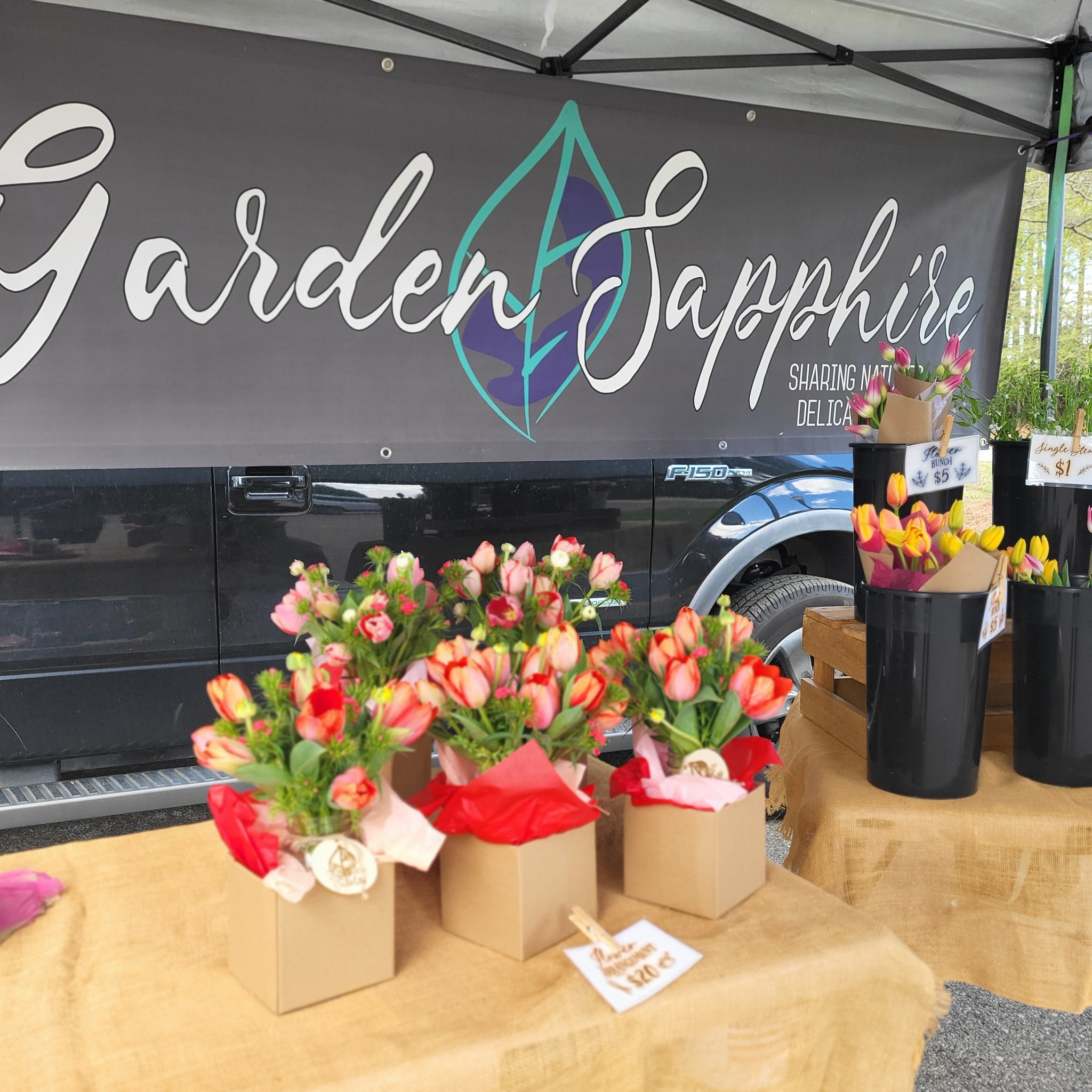 Two more weeks of Tulips! Get 'em before it's too late.
We are at our Friday night pop-up location at the Second Entrance to Sanctuary Cove at Copper Lane until 7pm.
If you miss us, we will be at the Bomb Bar in Nexton tomorrow morning by 9am. Grab a delicious smoothie with your flowers and make your weekend just a bit sweeter!
@followers
@thebombbar_nexton