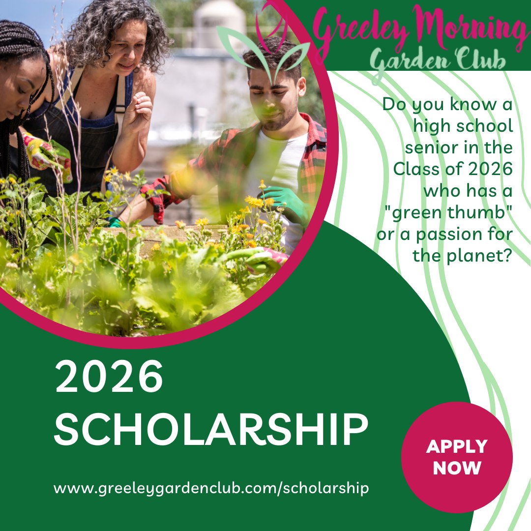 Are you dreaming of a career in the great outdoors? 🌿✨
The GMGC is offering a $2,000 scholarship for a 2026 senior pursuing a degree in:
🌻 Gardening or Horticulture
🌳 Landscape Design
🦋 Conservation or Environmental Issues
💐 Floral Design
If you’re planning to attend an accredited public college, university, or technical school, this grant is for you! Let’s grow the future of Colorado together. 🏔️
🔗 Link in bio for details: https://www.greeleygardenclub.com/scholarship
#FutureHorticulturist #EcoWarrior #ScholarshipOpportunity #GreeleyGardeners #ConservationCareer