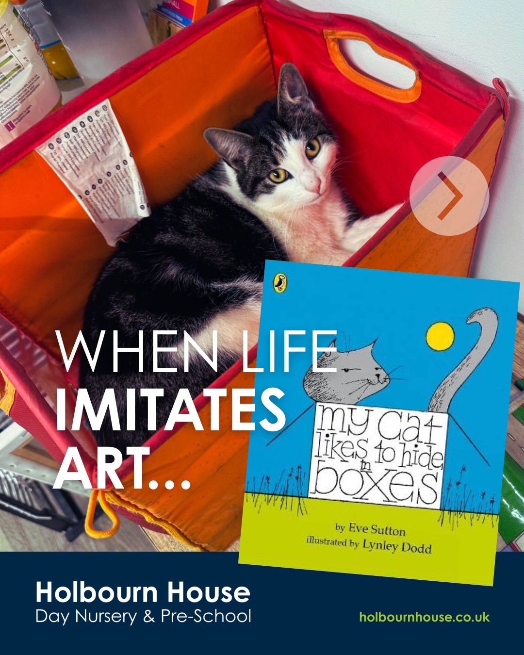 Hankβs favourite hideout? BOXES! π±π¦
One of our favourite stories is βMy Cat Likes to Hide in Boxesβ by Eve Sutton... and guess what? Our very own Hank is a real-life box-loving cat too!
Do your pets share habits with your favourite storybook characters too? Let us know your funniest pet antics in the comments - weβd love to hear them! π
*Swipe for bonus Heidi cuteness!*
#CatsOfInstagram #LifeImitatingArt #HolbournHouse #Pets #EarlyYearsEducation