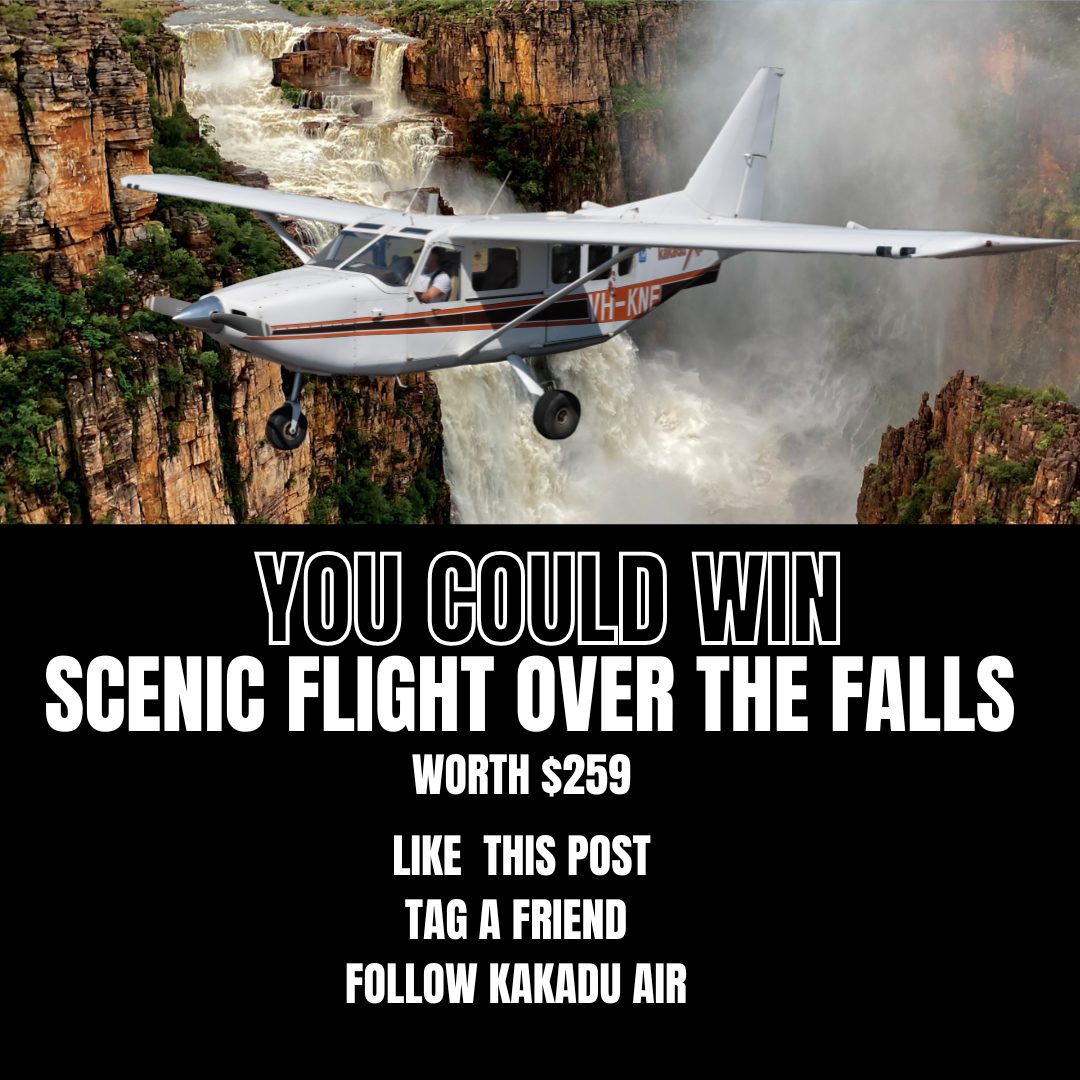 🐣 Egg-citing news! ✈️🌧️
We’re giving away 2 × 1 hour scenic flights over the waterfalls this Easter and school holidays! With all the recent rain, the falls are putting on an absolutely spectacular show, and this is your chance to see them from the sky.
We’ll be pulling the two lucky winners on 1 April, and winners will have until the end of April to come fly with us and experience the incredible waterfalls for themselves.
To enter:
👍 Like this post
👯 Tag a friend you’d bring along
📲 Follow our page
Good luck, and get ready for an unforgettable Kakadu adventure! 🌿🌊✈️
