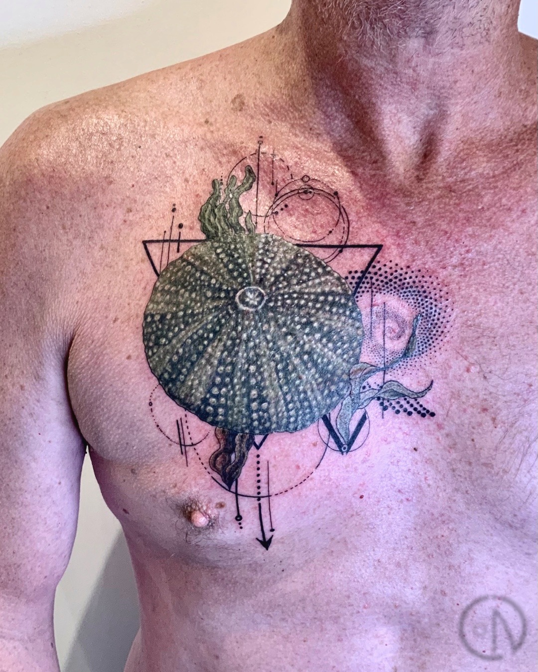 Good cover up of the old wizard tattoo with a Kina (sea urchin)shell , what an amazing sea nature! Thanks a lot Brendon for your trust and great day.
#tutukakatattooartist #whangareitattoostudio #geometrytattooartist #tutukakatattoo #dotworktattooartist #blackandgreytattoo #whangareitattoos #finelinetattooartist #tatuaje #tattooartist #geometrytattoo #kinatattoo #seaurchintattoo #colourtattoo