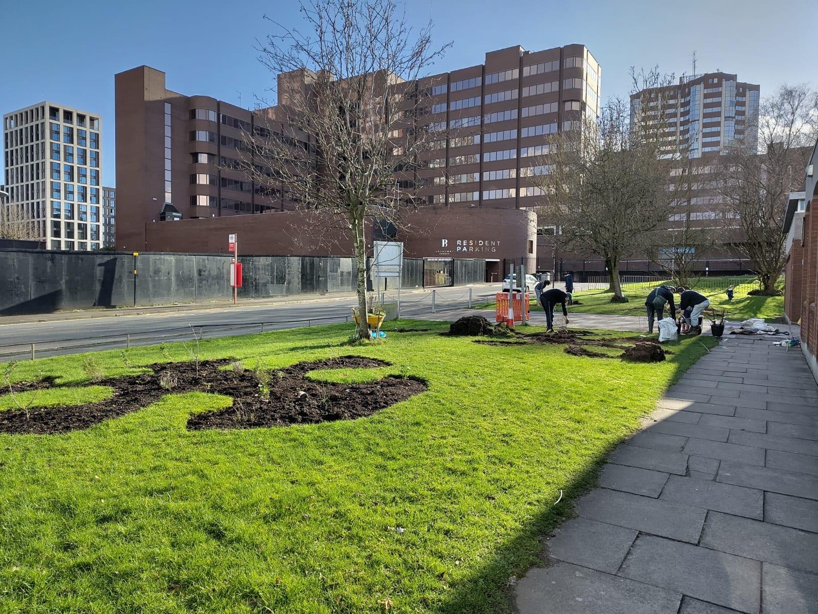 @brumunitarians garden looking beautiful and ready to bloom at this time of year. We created this space earlier in the winter, just before Christmas in #Ladywood, and the site is coming along nicely.