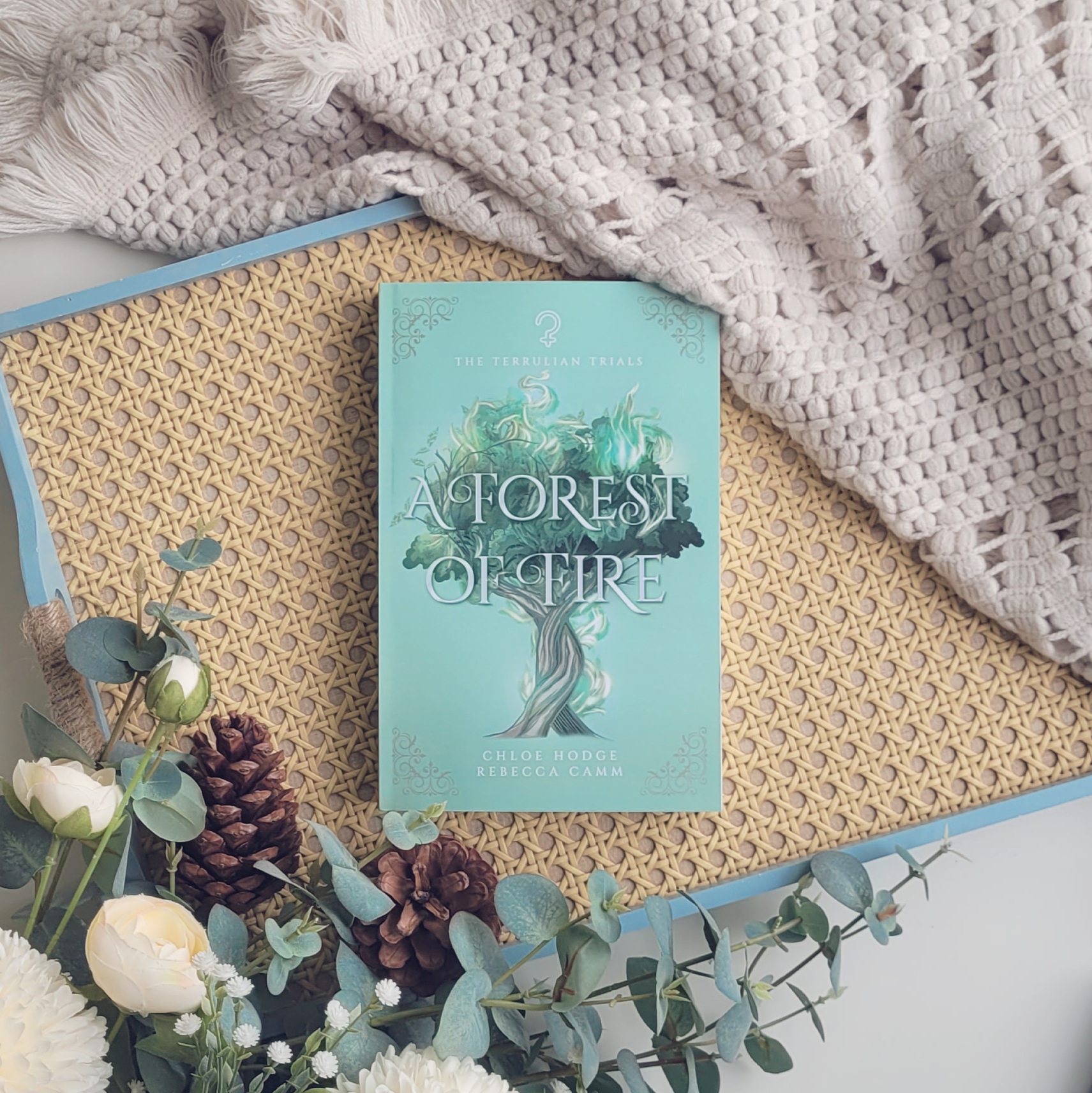 💚 A Forest of Fire by Chloe Hodge and Rebecca Camm 💚
The second instalment in a brutal, steamy, and often silly why choose urban fantasy romance.
Perfect for fans of (this list is long 😅):
💚 Urban Fantasies
💚 Why Choose
💚 Spicy Romance
💚 Deadly Competitions
💚 Multiple POVs
💚 Enemies to lovers
💚 Bully romance
💚 Insta lust
💚 Friends to lovers
💚 Who did this to you
💚 Academy setting
Books 1 - 3 available now 🥰
#aforestoffire #askyofstorms #indiebooks #whychoose #whychooseromance #bookstagram #instabook #bookish #bookworm #bookquotes #bookdragon #booksbooksbooks #booksofinstagram #readersofinstagram #read #reading #readingwritingdaydreaming