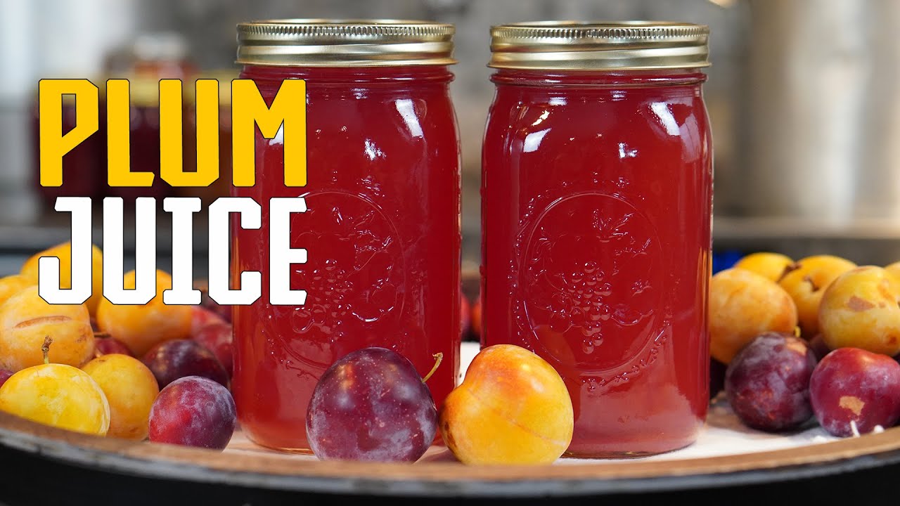 How to Can Plum Juice at Home
Plum juice is a family favorite so I am glad we have plum trees. Making plum juice is one of the easiest ways to preserve our harvest. It is perfect for beginning canners. Plum Juice is a little thick and tart so we like to make it into a "punch" by mixing it with lemon-lime soda. It can also be made into a lovely jelly.
WEBSITE: https://wisdompreserved.life/how-to-can-plum-juice-at-home
How Altitude Affects Canning Processing: https://youtu.be/oSr1QyV8hU8
Quality, American-made, Superb CANNING LIDS and JARS:
✅Here is your 20% off promo code: WP20
✅Superb Website https://shop.superbsealing.com/?ref=WP20
#superbcanning @superbcanning