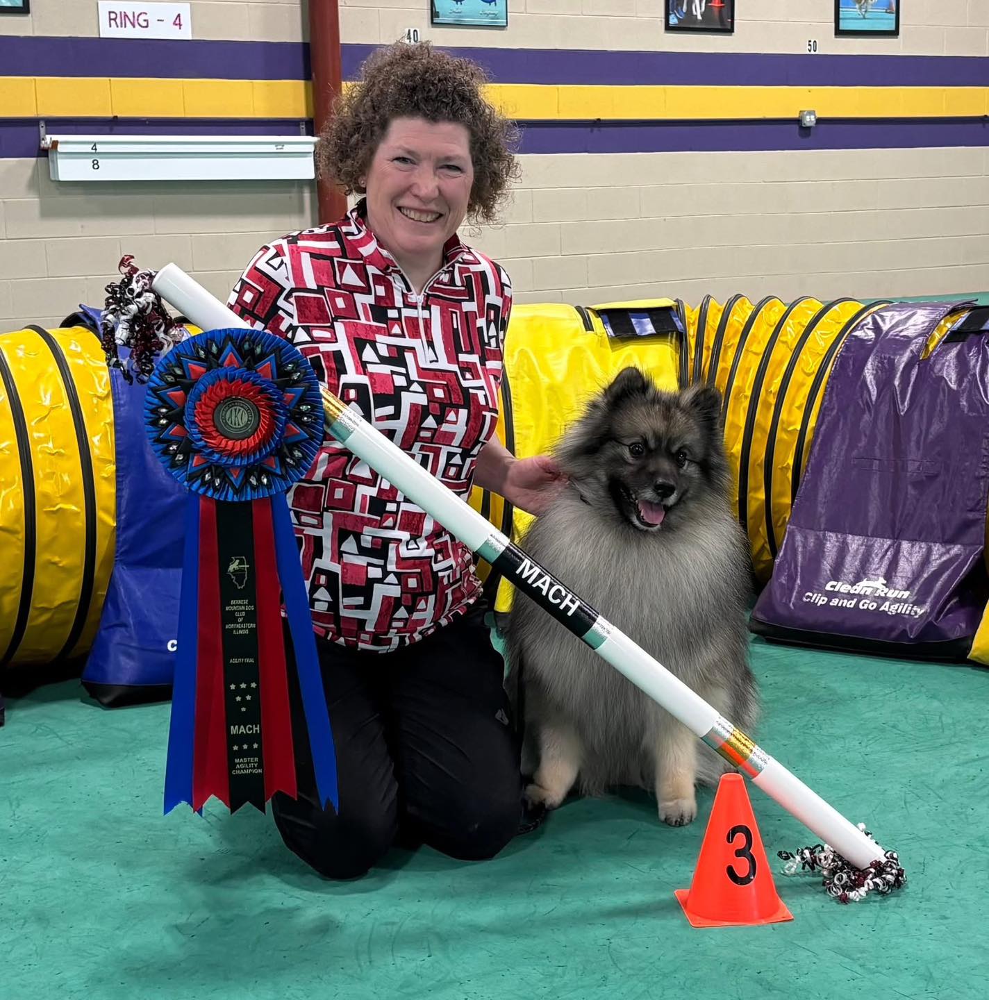 Huge congratulations to Stacey and Spirit on earning MACH 3! 🎉🏆🐾
This is a tremendous milestone and a testament to the incredible partnership, dedication, and hard work you both bring to the agility ring. Spirit has always been a special boy, and it’s wonderful to see him achieve such an amazing title. Proud breeder alert!!
So immensely awed by this team—Master Agility Champion 3 Spirit and his fabulous owner (and my dear friend) Stacey! 💜🐾✨