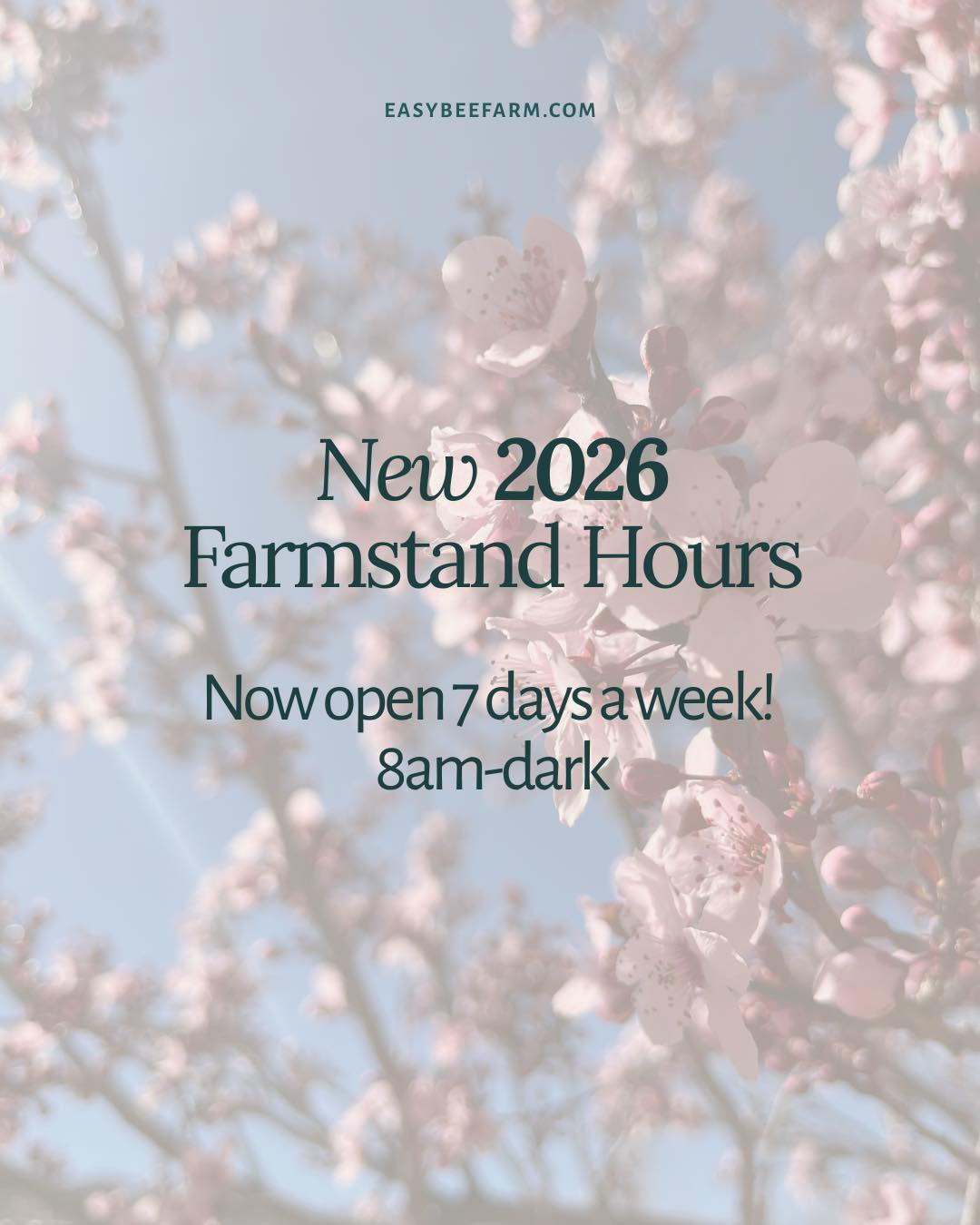 📣Have you heard?? Easy Bee Farmstand is open 7 days a week now! Swing by and say hi any day! oh and also pick up the freshest veg and bread in town. Open 8am- dark. #eatlocal