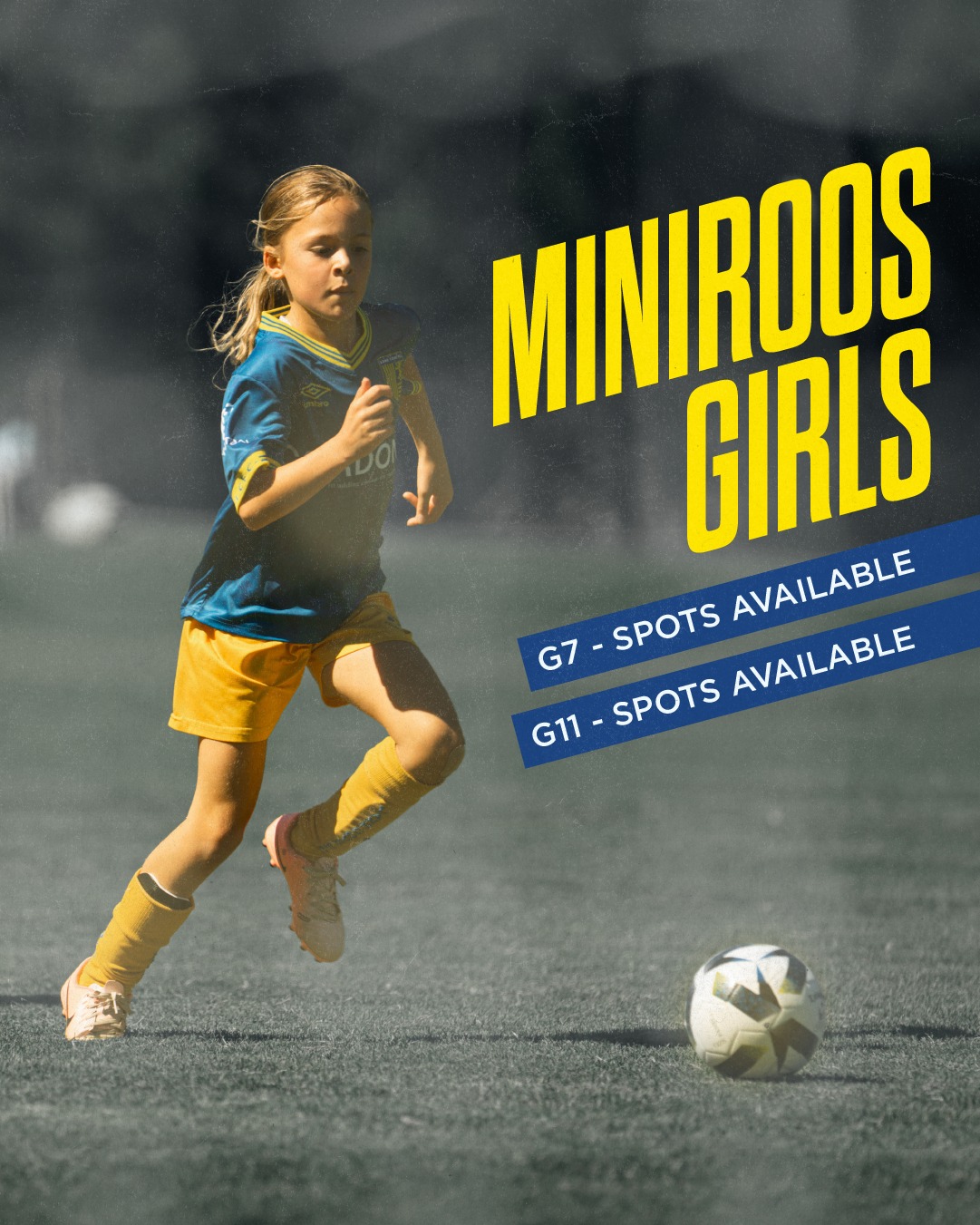 CALLING ALL MINI MATILDAS!!!
We have spaces available in both our G7 and G11 divisions. Whether your daughter is new to the game or looking for a team to continue their football journey, Lane Cove FC is the place to play.
contact miniroos@lcfc.com.au for more info.
🔵🟡⚽️💪🟡🔵
#AnyOneCanPlay #LaneCoveFC
#LaneCove #inthecove #NSFA #footballnsw #footballaustralia #football #soccer #footballislife #footballculture #footballlife #90years #miniroos #juniorsfootball
@inthecove
photography by @snapshootscore