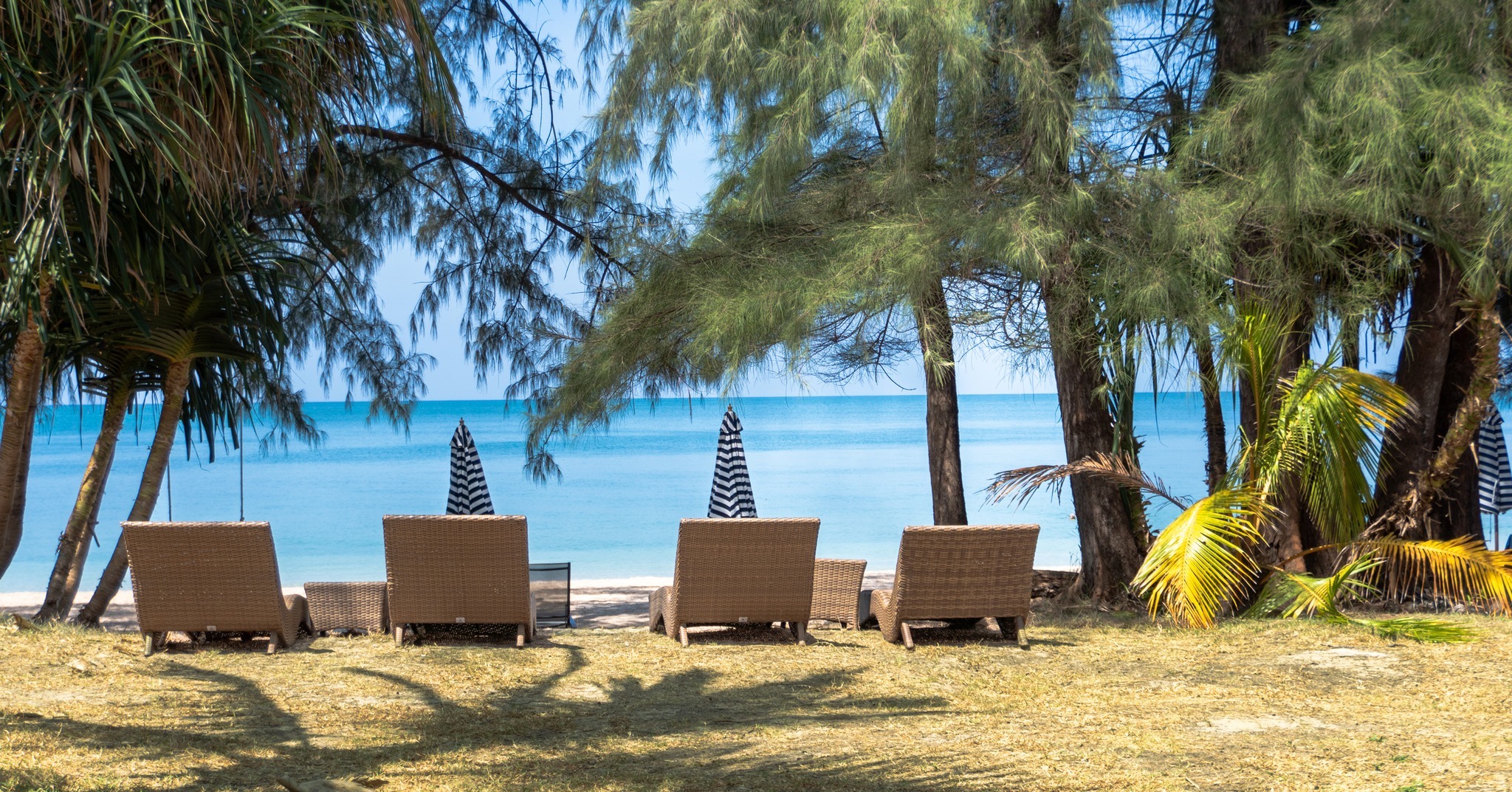 Let the sound of the sea set the rhythm of your day🌊
Enjoy our best direct booking rates here! ➡️ link in bio
📞094 432 8889
📩info@longbeachchalet.net
🌐www.longbeachchalet.net