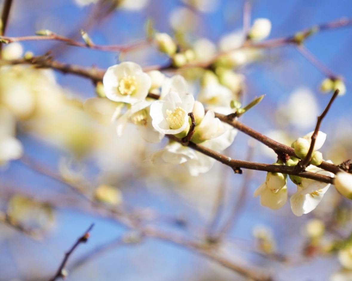 H E L L O Spring ✨🌼
This corner of the earth, Glorious Galloway, shines for you!
We love seeing your photographs, especially of beautiful views and this amazing region. Please make sure to tag us @gallowayview
📍Gatehouse of Fleet, Dumfries and Galloway
#escapeandwonder
#dumfriesandgallowaylife
#luxuryproperties
#weekendvibes
#celebrations
#newbeginnings
#visitscotland
#gallowayview