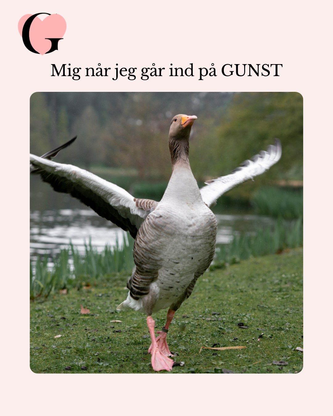 Snart kan du glæde dig til at træde ind ad døren til GUNST Festival!!!
Her er der plads til alle – uanset om du er til feelgood, romance, romantasy eller dark romance. GUNST er dit sted!
Så træd ind, pust op og nyd hver eneste sekund – du fortjener det! 🎉
Vi ses inden for dørene 👀🎟️