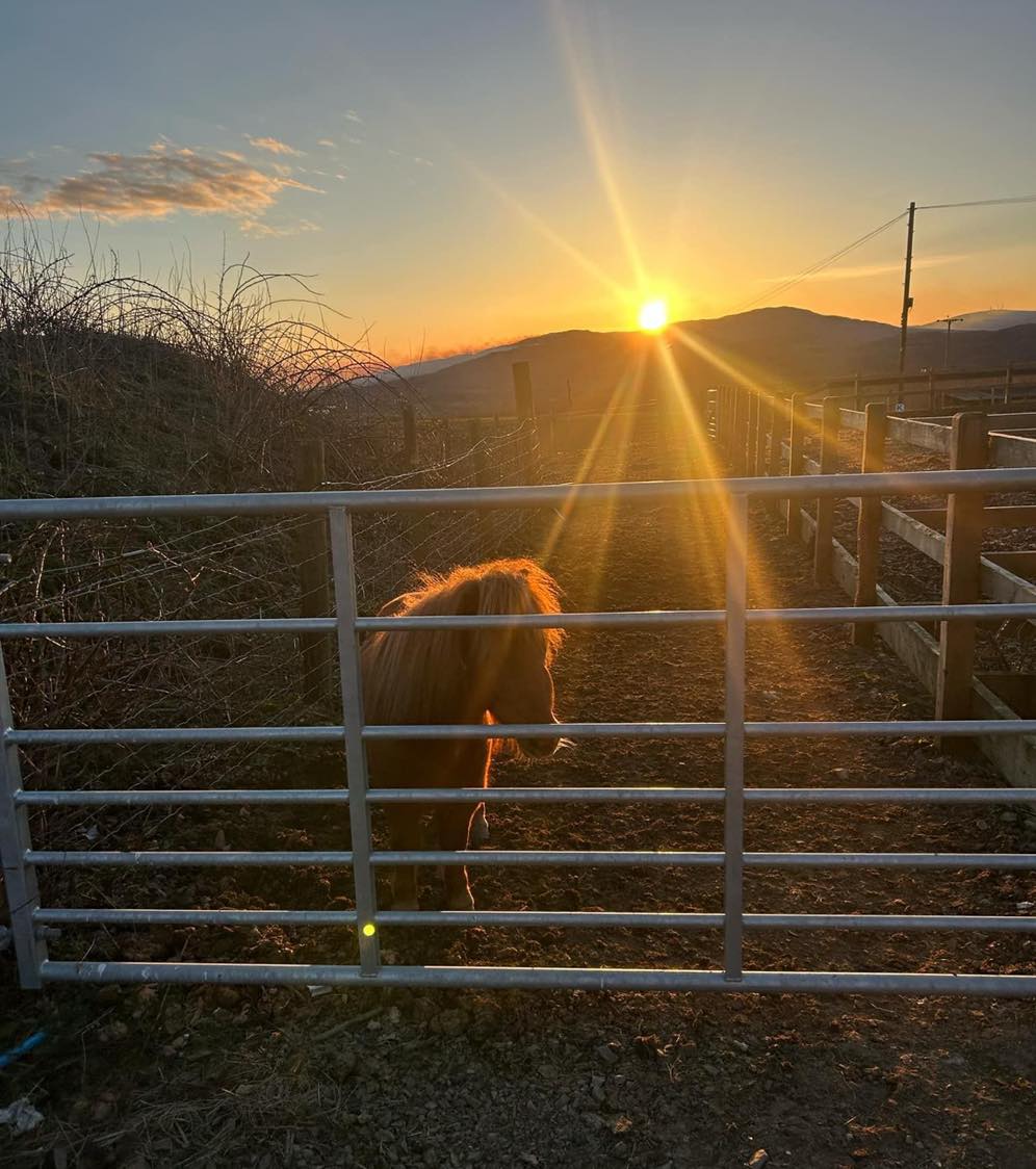 G O O D morning from us to you #gallowayview 🌱 #springisonitsway☀️ #gloriousgalloway #wheremagichappens #luxuryproperties
