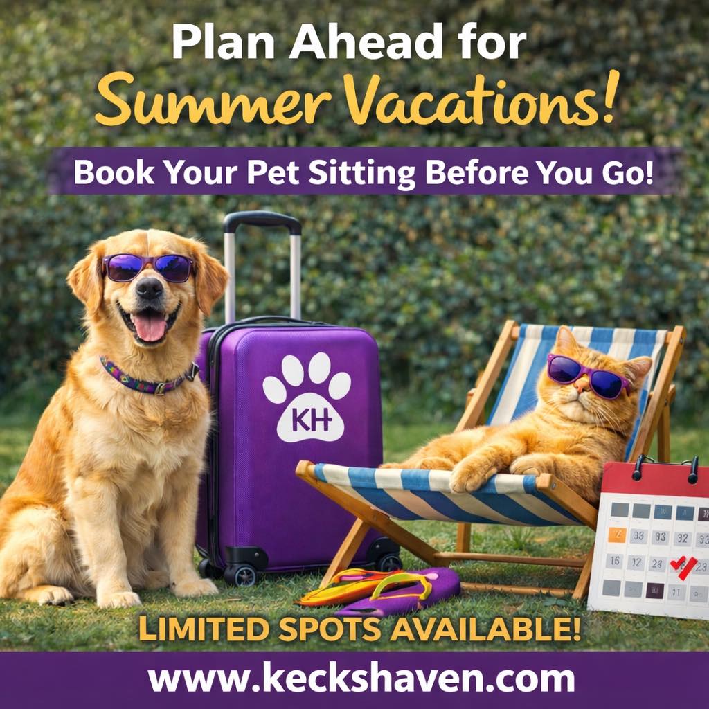 Now booking for summer vacations! Use a Professional Pet Sitter, and keep your pets safe in their home!
www.keckshaven.com
We are Pet CPR/First Aid certified, bonded, insured, and Fear Free Certified!
Going into our 9th year of business! #catsitternearme #dogsitternearme #petsitternearme #dogwalkernearme #keckshaven #wentzvillepetsitter #bestpetparentsever #newpuppy #newemployeesrock #loveourpetsitters #clientsrock #wentzvilledogwalker #kecksrock #weloveyourpets #keepyourpetsathome #petbusiness #petsitter #dogsofwentzville #psi #dogsofofallon #petsittingbusiness #petsittingadventures #petcommunity #fearfreepetsitting