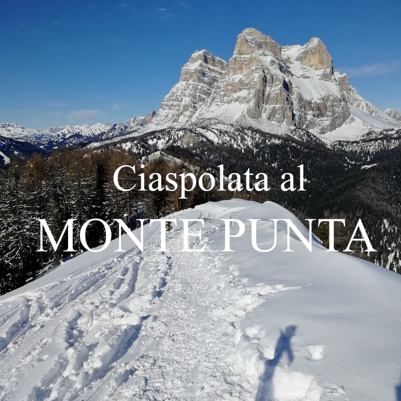 CIASPOLATA AL MONTE PUNTA - le escursioni del sabato 🏔️
Il monte Punta è una piccola cima nel cuore della Val Zoldana, da cui si gode di uno spettacolo meraviglioso sulle cime circostanti. Famoso oggi per il panorama e la facilità dell'escursione, in passato era sfruttato come pascolo e per l'estrazione del ferro e successivamente fece parte delle linee difensive della linea gialla. Tutto questo ha lasciato dei segni sulla montagna, riconoscibili dall'occhio attento.
In estate ci sono molti sentieri che permettono di raggiungere la vetta, alcuni percorribili in inverno, altri no. Il sentiero che ora descriverò è quello che preferisco con la neve, ma può essere percorso anche al contrario o facendo andata e ritorno sulla stessa strada.
Si parte da Costa, piccolo e affascinante paese fatto da vecchi tabià in pietra e legno. Subito prima del parcheggio troverete la strada forestale numero 497, che con ripidi tornanti porta al Passo Tamai. Qui girare a destra, sul sentiero 499 che in brave porta alla cima del Col Nero, poco interessante perché boscosa. Dopo una rapida discesa si arriva alla Forzela, dove si prosegue dritto sul 499. Questa ultima parte è molto bella, il sentiero sale a volte ripido tra alberi centenari che ogni tanto lasciano intravedere il panorama. Con un ultimo sforzo si raggiunge la cima, dove finalmente gli alberi si aprono per lasciare una vista a 360°.
Per il rientro ripercorrere i propri passi fino alla Forzela, qui girare a sinistra, sul sentiero 491. A quota 1600 prendere il sentiero a sinistra che si collega al sentiero 492 e porta al bellissimo Mas de Sabe. Da qui i breve si torna alle auto.
Lunghezza: 7 km
Dislivello: 600 m
Tempo medio: 4/5 ore
#montepunta #valdizoldo #montepelmo #ciaspolate #dolomiti