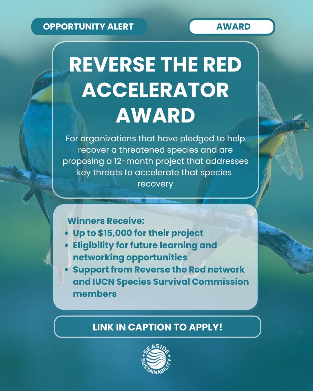 The Reverse the Red Accelerator Award is now accepting applications for projects that tackle key threats to endangered species.
Apply for a chance to win:
💲 Up to $15K in funding
🌍 Global recognition
🤝 Collaboration with conservation leaders
Apply here:
🔗https://www.reversethered.org/accelerator-award?utm_source=ig&utm_medium=social&utm_
content=link_in_bio
#seasidesustainability #opportunity #awards #recovery