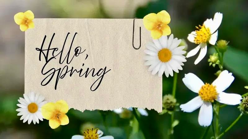 🌻🌺🌷🌸🪻🌼 Spring has sprung!!!
And on top of that 😀 It’s finally FriYay!! 🙌
🤪 Anyone else have a really crazy week? Spring was definitely in the air and causing chaos everywhere, but we made it thru! After all of that the last thing on your mind is cooking, and the first thing is relaxing… so give us a call and order our new pizza deal. 🍕For only $29.99 you get a large two topping pizza, a large cheesy bread with marinara, a bay of Lays chips and a 2 liter of soda(Pepsi products only).
👉 Then all you have to do is either pick up or if you prefer, use our grocery delivery service Eli’s2Go! Order everything directly on the app and we will take care of the rest(available up until 6pm) 🚙 For a small fee have supper, and whatever else you may like, delivered. Easy peasy lemon squeezey! 🍋 elismarkets.com
🙏 From all of us at Eli’s, we hope you have a great weekend! ☺️