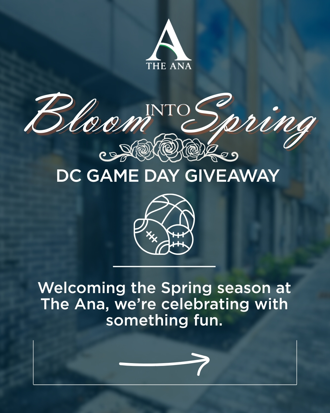 Bloom Into Spring – DC Game Day Giveaway
Welcoming the Spring season at The Ana, we’re celebrating with something fun.
As part of our Bloom Into Spring celebration, we’re giving away tickets to some of DC’s biggest sporting events during opening season — because there’s nothing like the energy of game day in the city.
Throughout the month, you’ll have a chance to win tickets to see:
🏀 Washington Wizards
🏒 Washington Capitals
⚾ Washington Nationals
⚽ DC United
🏀 Washington Mystics
⚽ Washington Spirit
Whether you're a sports fan or just love a great night out in DC, this is your chance to experience the excitement of the city while discovering The Ana Townhomes — one of DC’s newest move-in-ready communities.
HOW TO ENTER
1️⃣ Follow @TheAnaTownhomes
2️⃣ Like this post
3️⃣ Tag a friend you’d bring to the game
(each tag = an additional entry)
BONUS ENTRIES
Want to increase your chances of winning?
🌸 Register for our Blooms & Brews event at The Ana – March 28 (RSVP Link in Bio)
🏡 Tour the model home before the event
Each action = 5 additional entries.
#Spring
#HouseHunting
#DCRealEstate
#NewConstruction
#LuxuryHomes