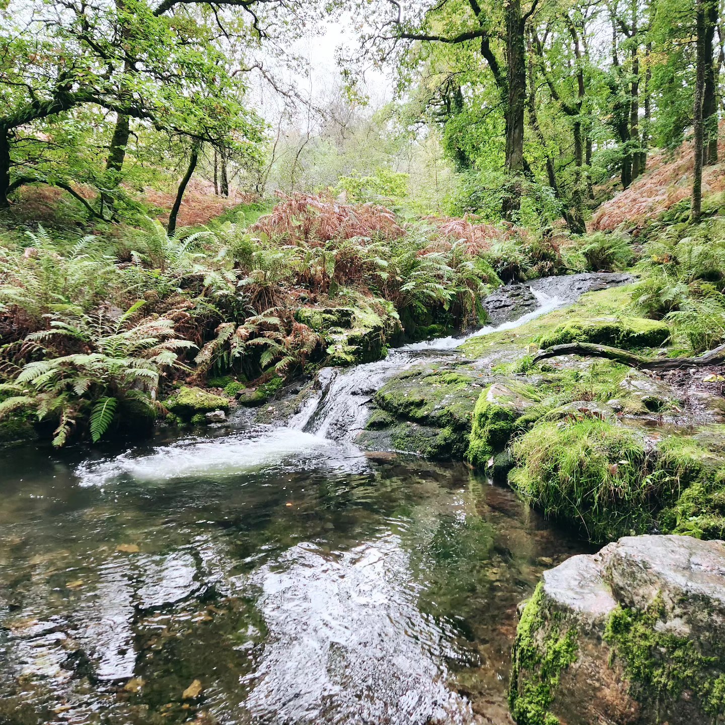 We’ve got a longer walk coming up at the end of the month… nothing rushed, just a few hours out on Dartmoor with us :)
It’s the same idea as our lunch walks, just a bit longer and a bit more serious for those of you dying to get out and see Dartmoor on a nice Sunday morning!
We're running this one on Sunday!
If you fancy joining us, you can book on through our events page.
#cohike #dartmoor #community