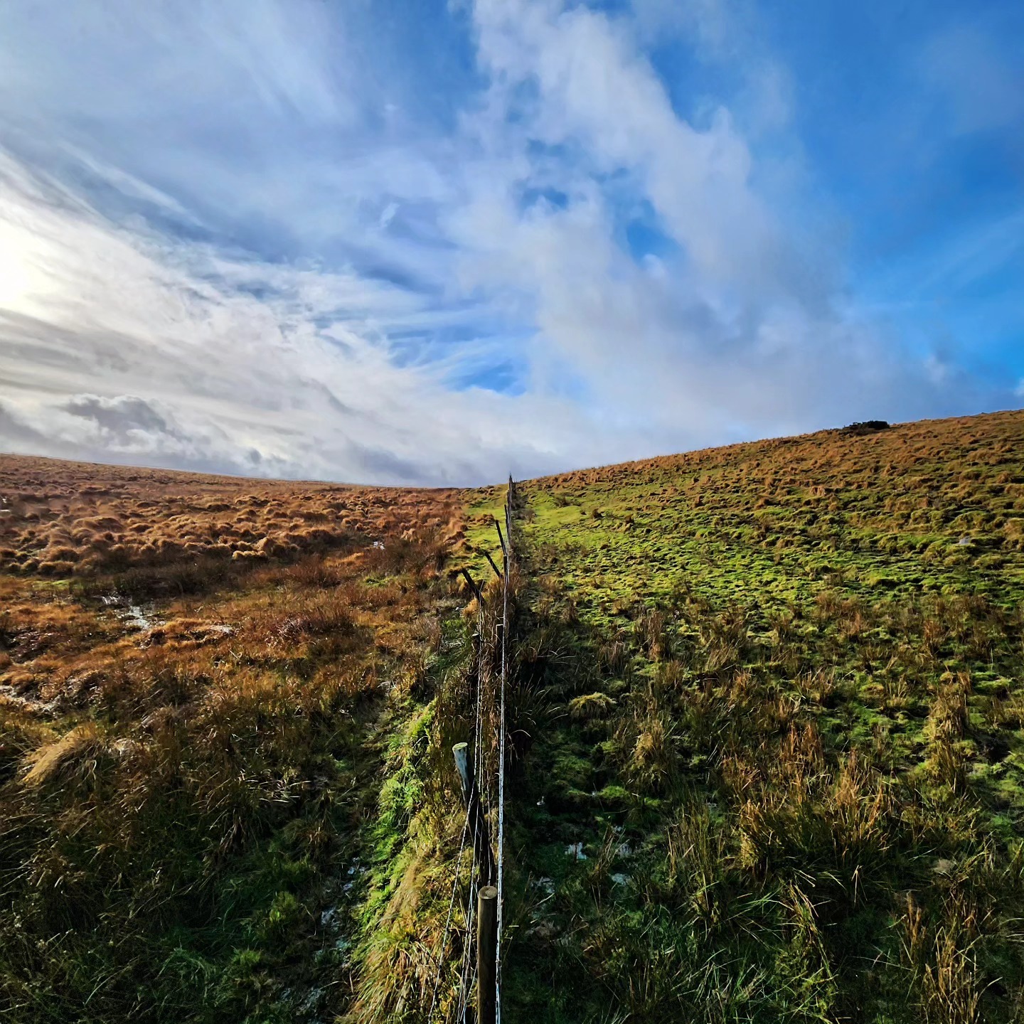 We were out on Dartmoor this weekend for our CoHike…
A few hours out, steady pace, dogs along for the ride, nothing too serious, just a good reset.
We run these regularly, so if you fancy joining us next time, you can book on through our events page :)
#cohike #dartmoorwalks