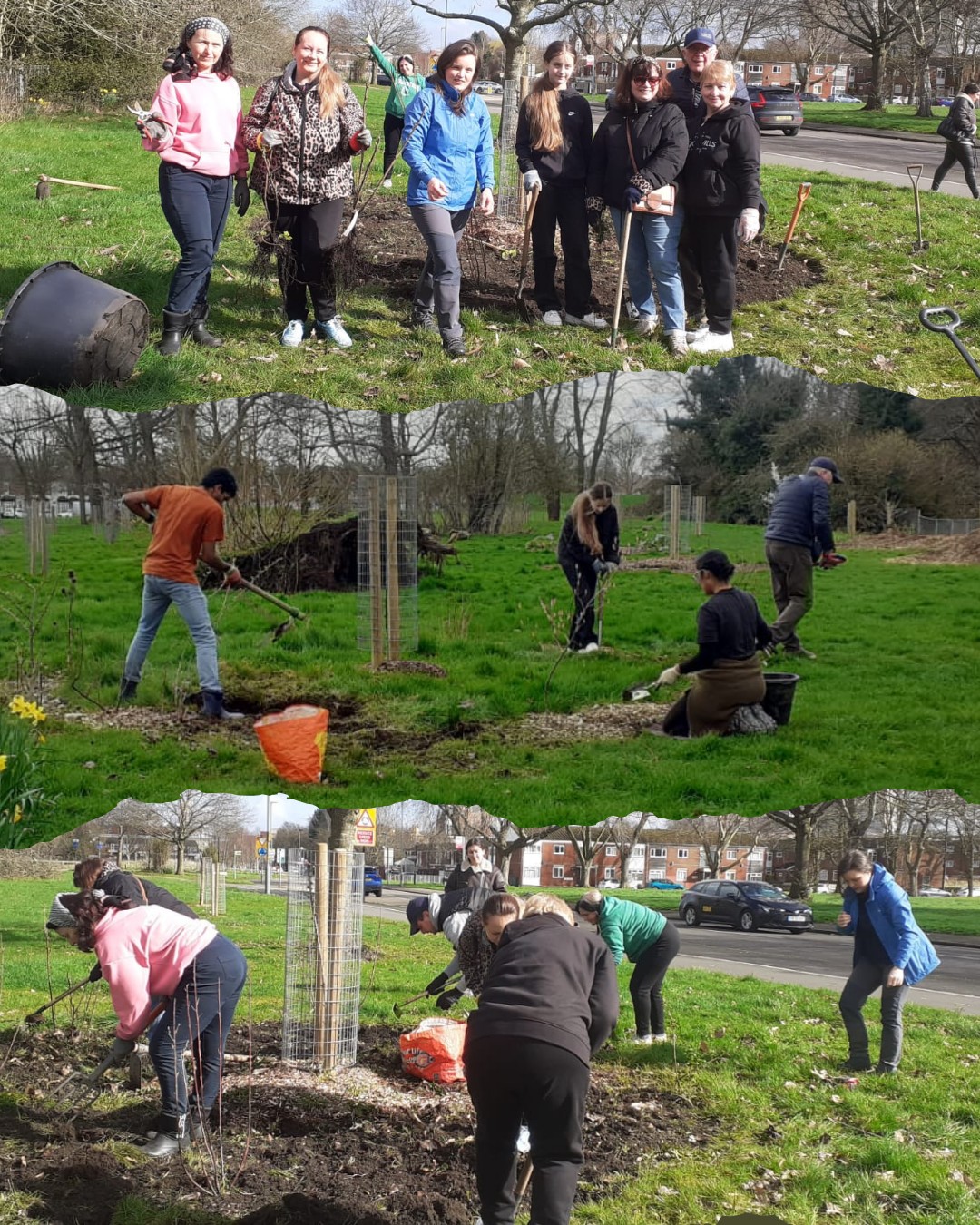 A lovely morning in the sun with @moseleyforukraine last week, planting soft fruit bushes at #ReasideForestGarden in #BalsallHeath.
Last year in February, an all-age group of Ukrainian refugees gathered in Fruit & Nut Village's Reaside Forest Garden to plant shrubs, to thank the community that is hosting and supporting them and to promote cultural understanding. Each shrub represents one of Ukraine’s 27 regions, and is labelled with a QR code that points to the Wikipedia page about that region. If you'd like to read more about this story, please visit our blog: https://www.fruitandnutvillage.org.uk/post/ukrainian-refugees-plant-27-shrubs-with-their-community-in-birmingham
During these times of turmoil, coming together has never been more important, and we are thankful to have many partners and friends in our Village communities that also share these thoughts and feelings. Thank you to everyone who came and took part in this special session, planting edible perennials and building community cohesion! Nature brings people together.