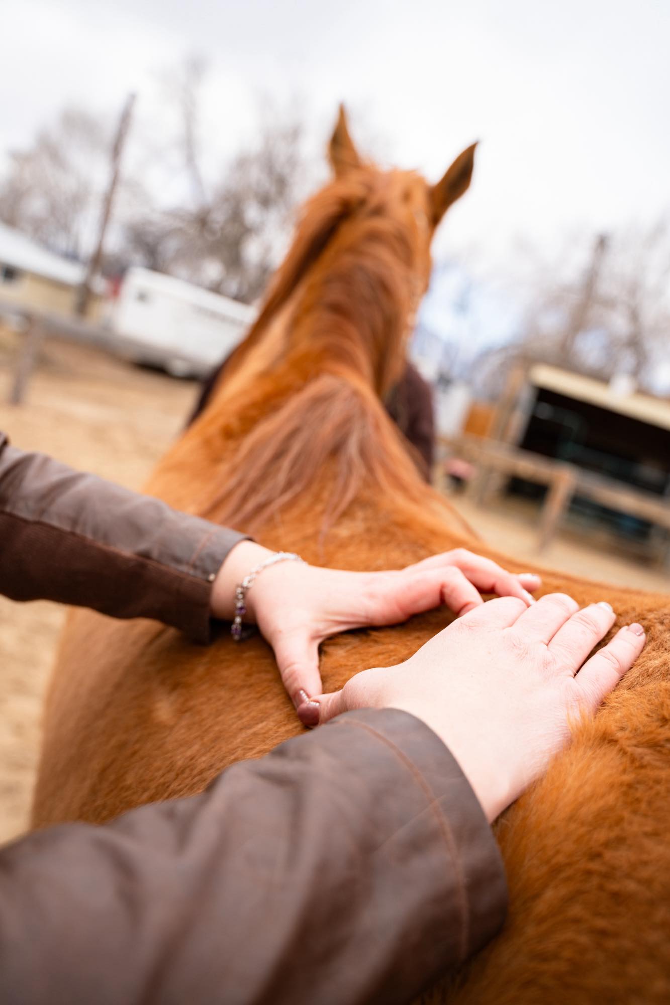 🌷 Spring Trail Tune-Up Special
Spring riding season is almost here, so I’m running a little special to help get horses feeling their best!
Right now you can book a Spring Trail Tune-Up Package for $125 (normally $180).
If you refer a new client, they’ll get their first session for $150, and you’ll receive $25 off your next appointment as a thank you!
Offer good through May 31.
Feel free to message me or reach out through my business page:
Wanderlust Equine Bodywork LLC