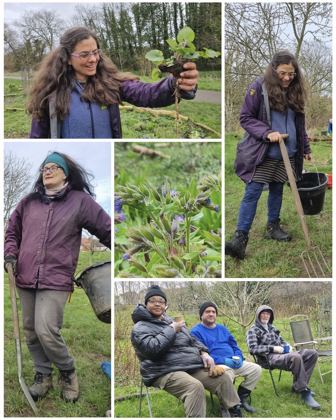 We've been splitting up some small plants at #KingdomForestGarden in #Stirchley to pass over to #ReasideForestGarden in our #FruitAndNutVillage #BalsallHeath. It's good to share!