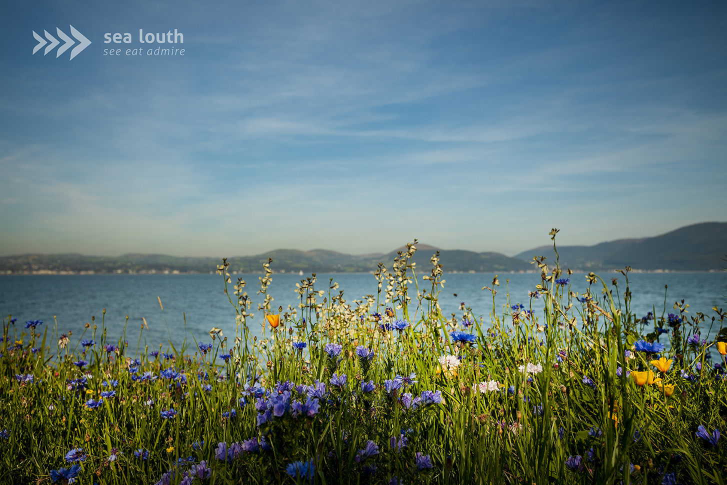 Spring has arrived on the Sea Louth coast 🌸🌊
Longer days, brighter skies and wildflowers blooming by the shoreline… it’s the perfect season for a seaside stroll. Feel the fresh sea breeze, wander along the beach and take in those wide coastal views that make you pause and smile ☀️✨
And after your walk? Fresh local fish, beautifully prepared and waiting for you in one of our fantastic participating restaurants.
Start your coastal adventure at sealouth.ie
#SeaLouth #IrelandsAncientEast #KeepDiscovering #See #Eat #Admire #SpringVibes #SeasideWalks #FreshSeafood #CoastalMoments
Credit Sealouth