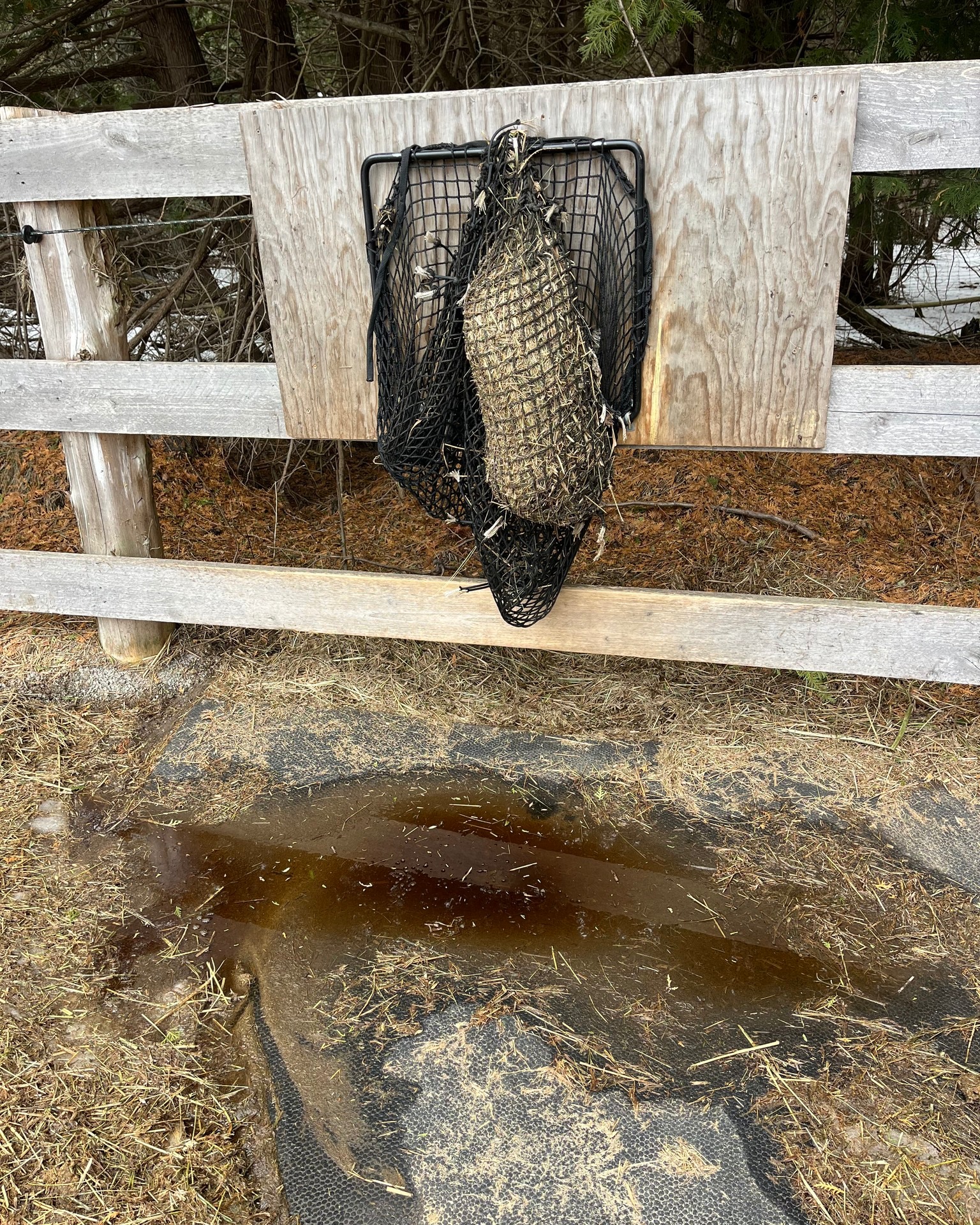 #TrackTipTuesday #TTT Spring is the perfect time to check your setup! Make sure your fence feeders aren’t sitting over drainage spots, it can lead to water pooling underneath, leaving your hay damp, wasted, and less appealing
What’s one thing you’ve adjusted in your setup this spring?
Our online course From Paddock to Paradise includes tons of detailed lessons for how to plan and implement a track lifestyle for your horses, ponies, or donkeys.
From Paddock To Paradise | ONTW https://share.google/cEPySQXwzFxSfIIFr
#onlinecourse #tracksystems #horsewellness