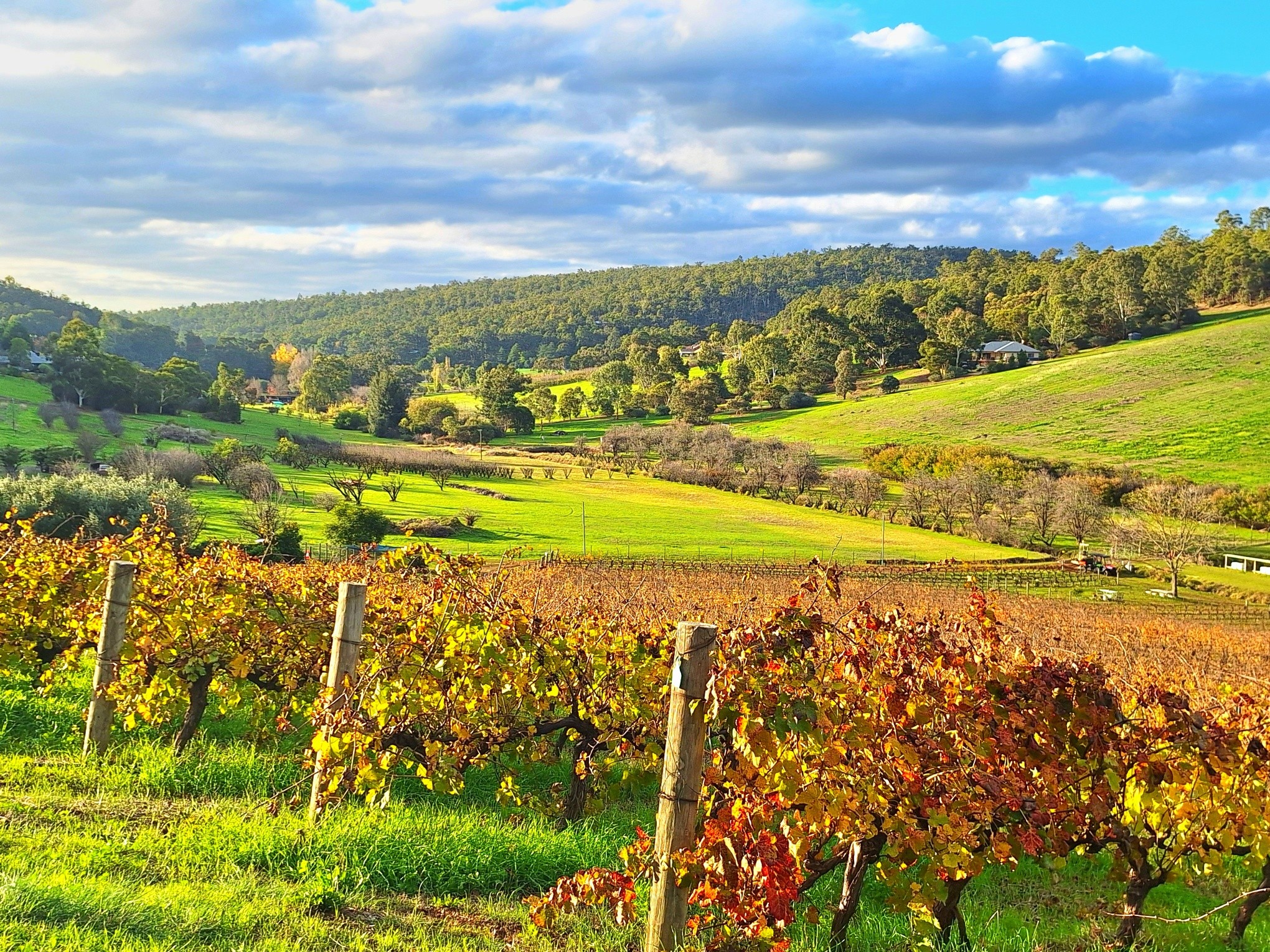 Autumn 🍁! Harvest is finished, time to enjoy a glass 🍷 and relax. The weekend is here!