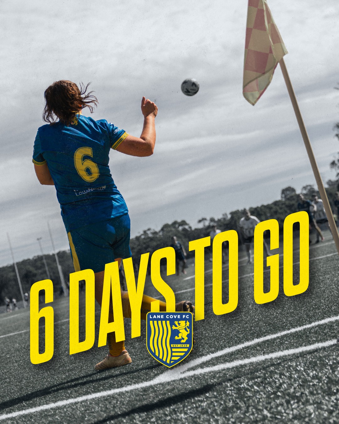 6 DAYS TO GO!!!
LANE COVE FC'S 2026 SEASON KICKS OFF SOON!
🔵🟡⚽️💪🟡🔵
#AnyOneCanPlay #LaneCoveFC
#LaneCove #inthecove #NSFA #footballnsw #footballaustralia #football #soccer #footballislife #footballculture #footballlife #90years #miniroos #juniorsfootball
@inthecove
photography by @snapshootscore