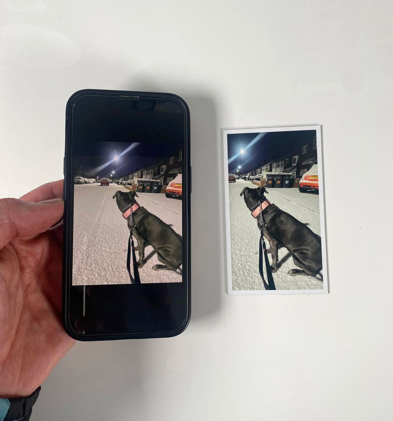 From your camera roll