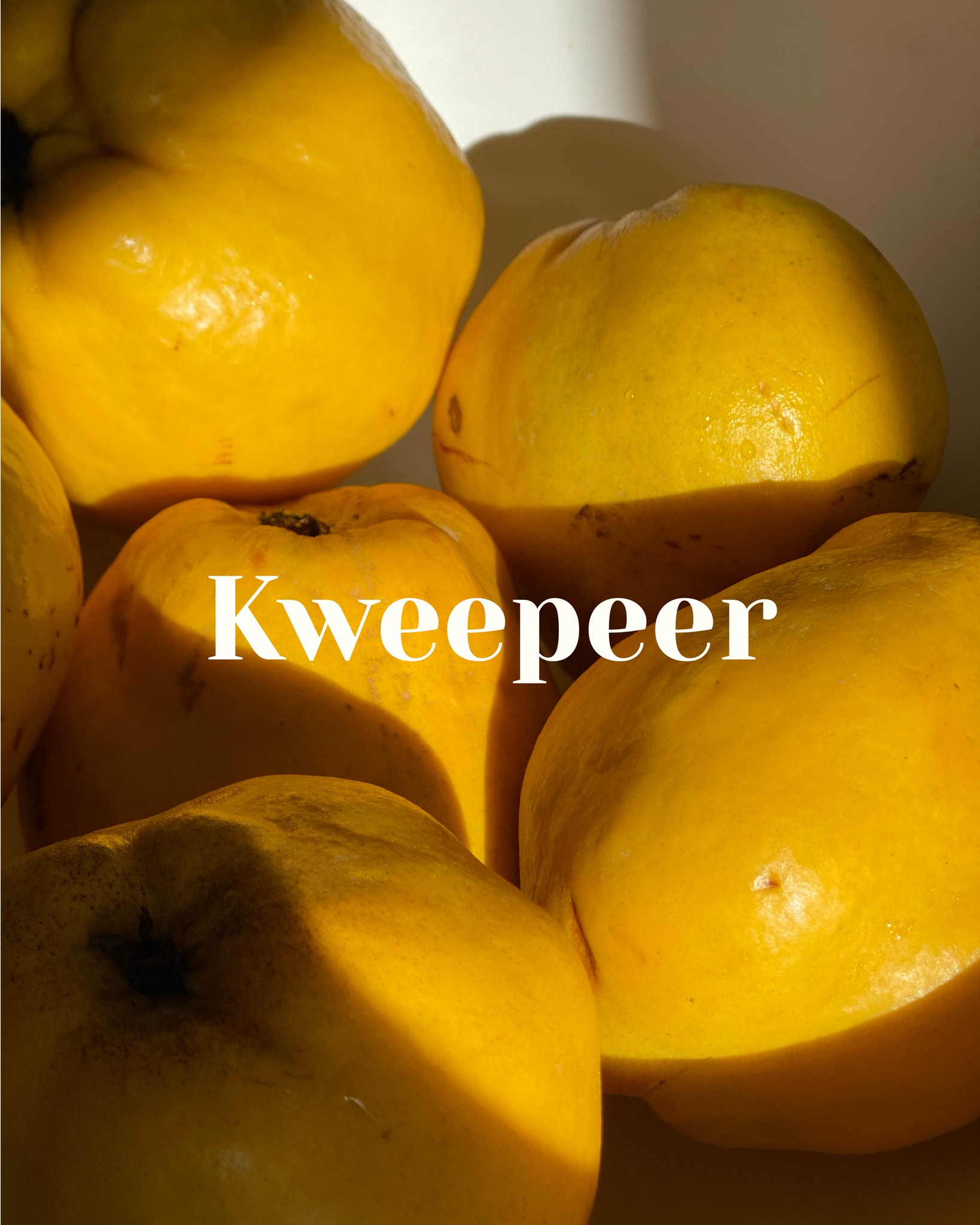 Wat minder bekend, maar zeker niet minder bijzonder.
De kweepeer kan beste vergeleken worden met een stevige stoofpeer en perfect te gebruiken in verschillende soorten gebak.
Wat de kweepeer zo bijzonder maakt is dat hij tijdens het stoven de smaak van specerijen en ingrediënten opneemt.
Zelf gebruik ik een combinatie van onder andere honing, sinaasappel, rozenwater, saffraan, kaneel, kruidnagel en kardemom om deze vrucht haar unieke smaak te geven.
Wist je dat kweepeer ook goed lekker in stoofpotjes is? Hij zorgt voor een lekkere en subtiele zoetzure twist.