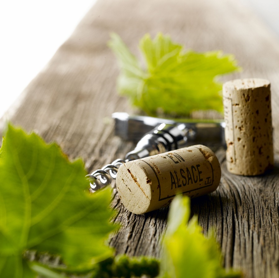 Que ferions-nous sans tire-bouchon ? 🍷🌀 Il est le héros discret de nos soirées, transformant chaque bouteille en un moment de plaisir ! Sans lui, nos apéros seraient bien moins joyeux.
À notre fidèle allié pour ouvrir les bons crus ! 🥂🔑
#vinsalsace #winemaker #degustation
© ELPEV-ConseilVinsAlsace